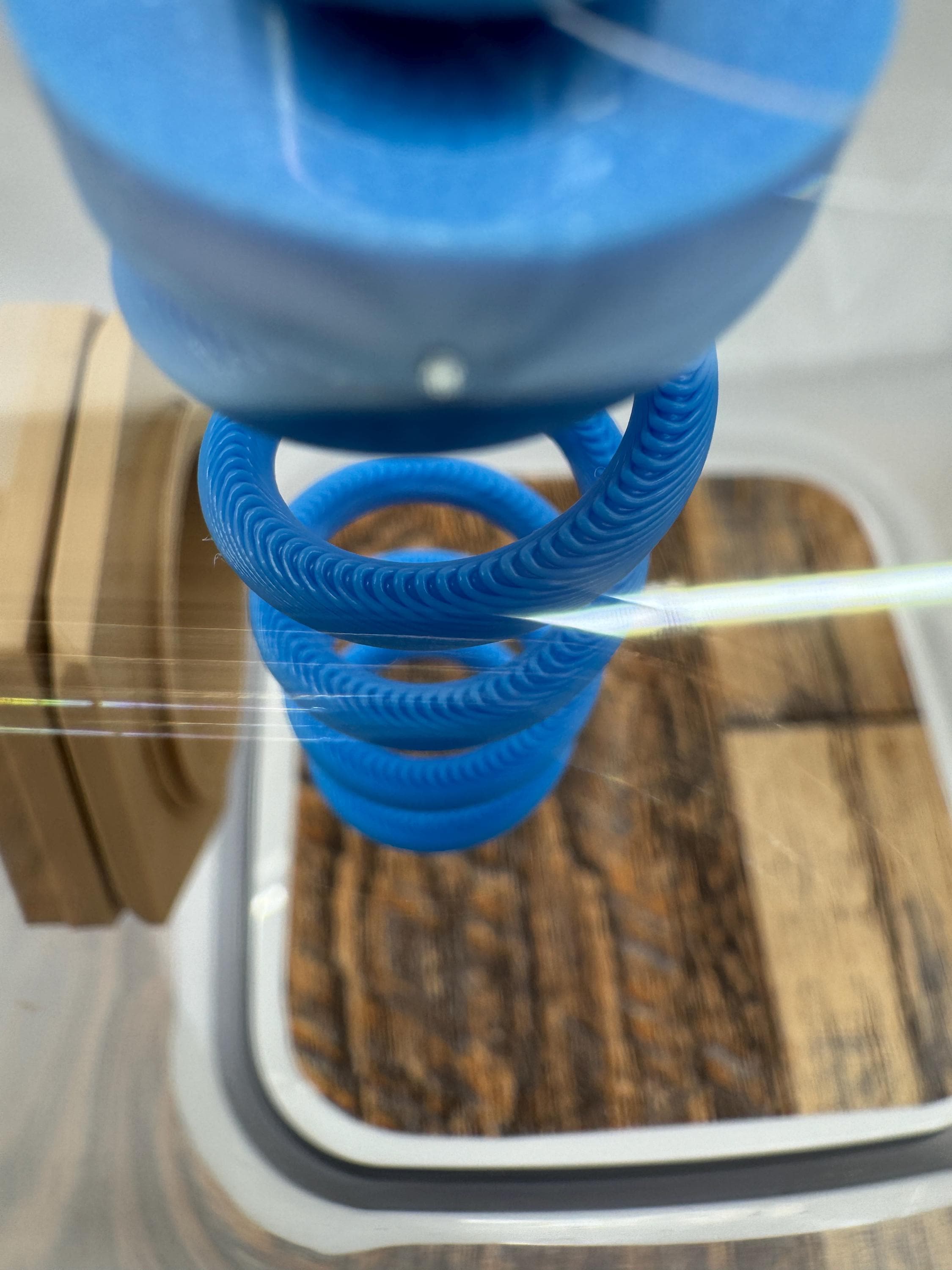 Jumping Spider Magnetic Sling Spring: Enrichment Decor