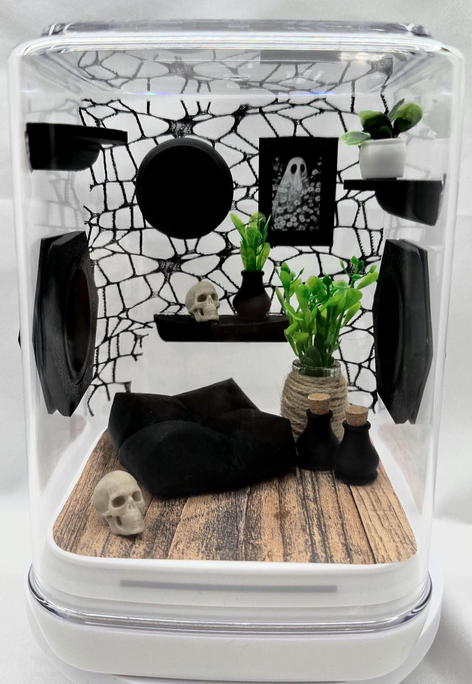 Webby Haven jumping spider enclosure, terrarium, acrylic, home