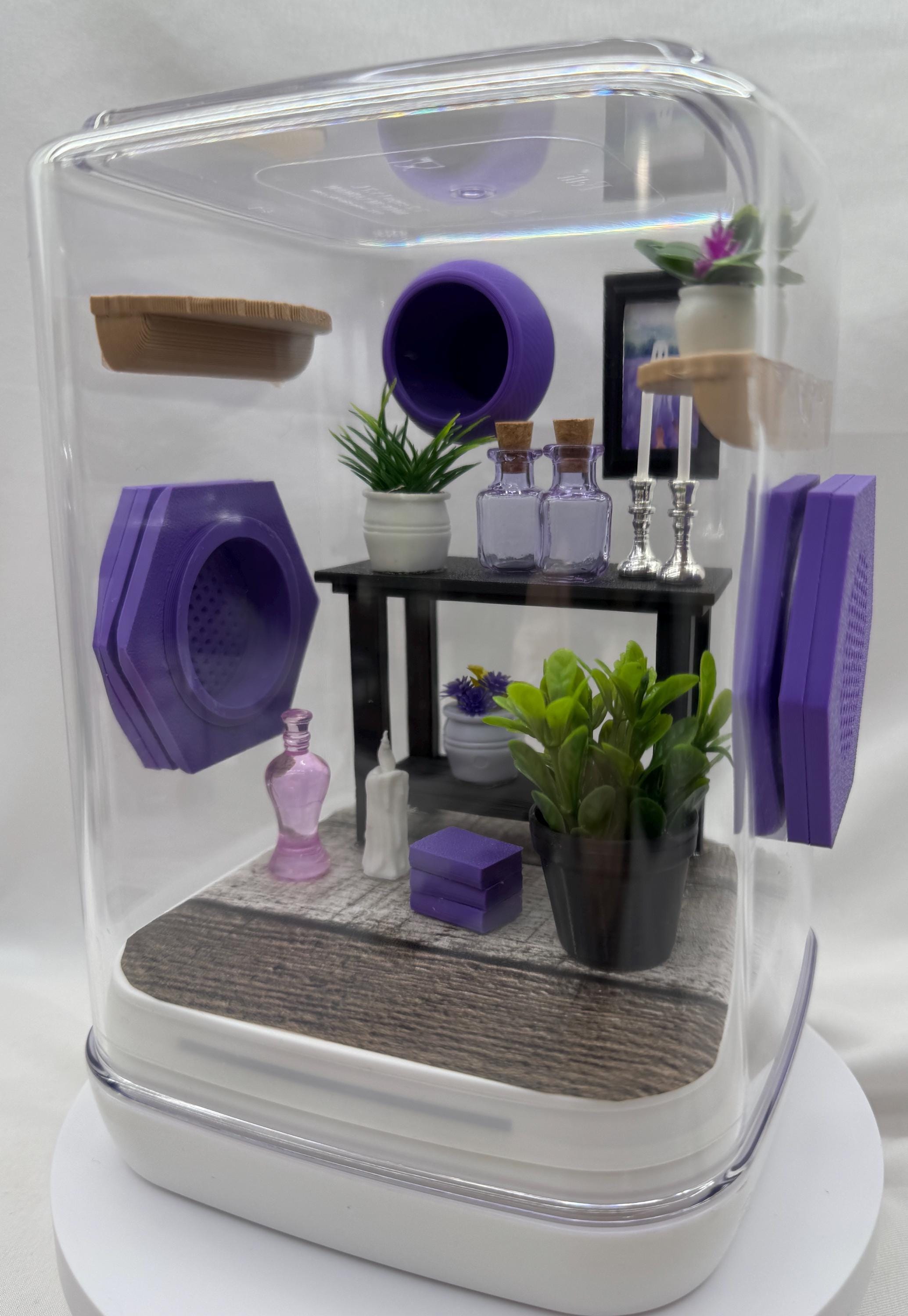 The Spooky Spider Den jumping spider enclosure