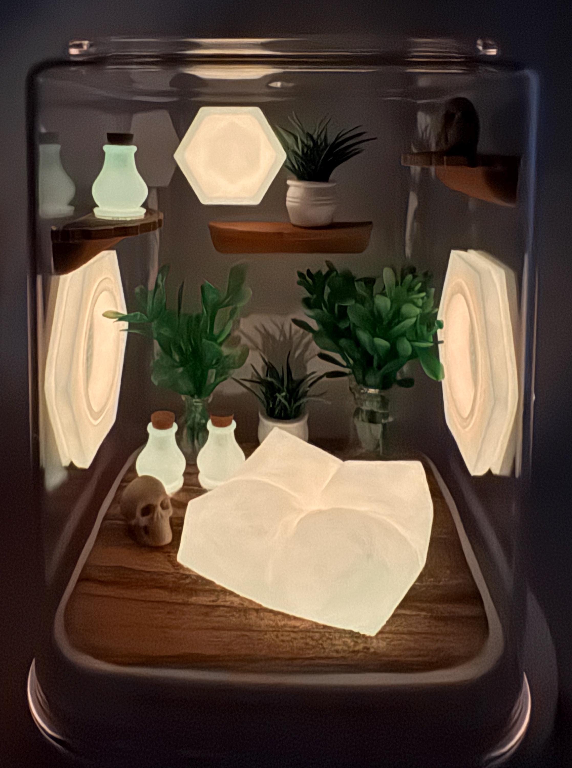 Coral Cove Glow jumping spider enclosure, pet house, home