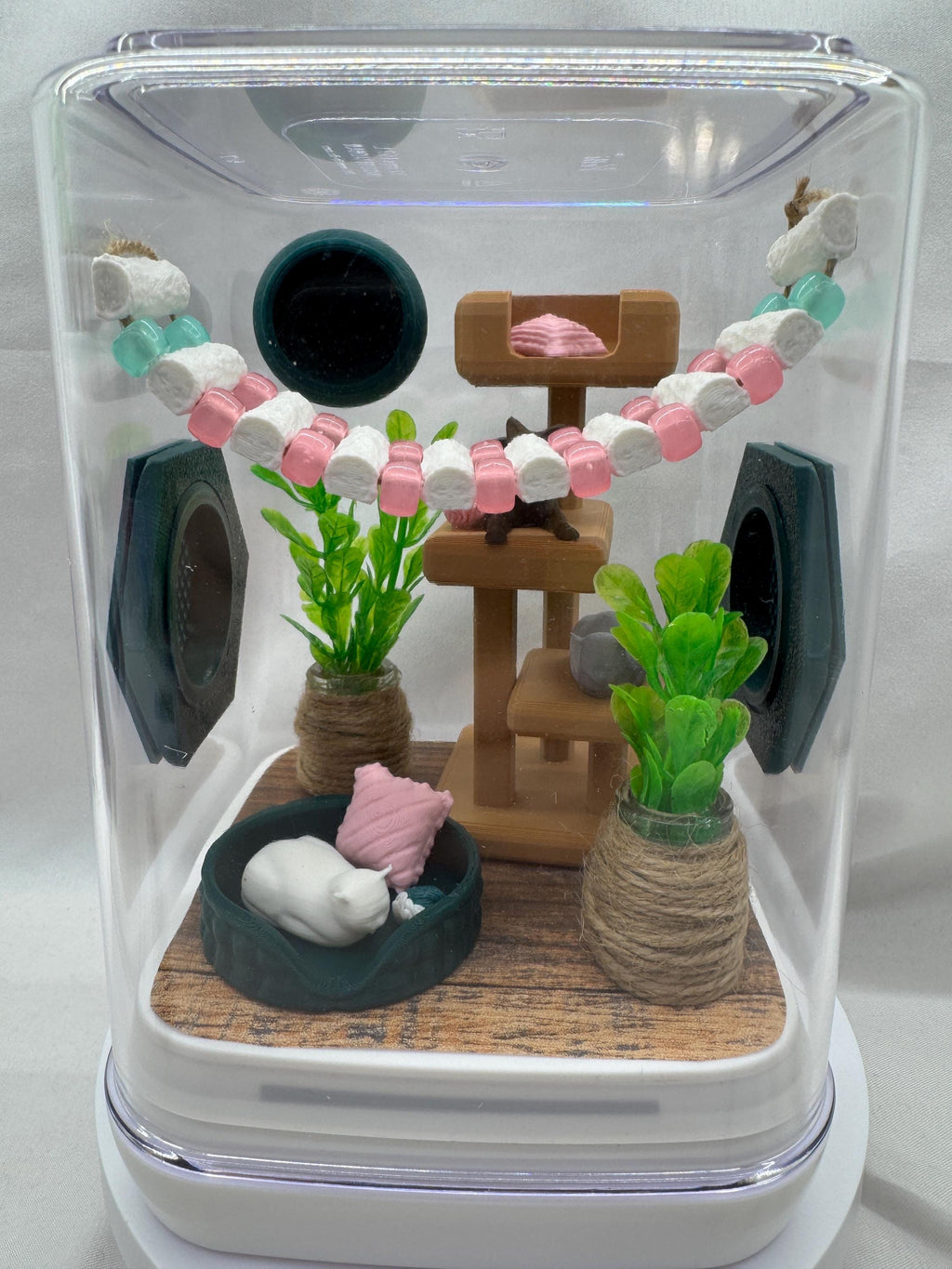 Cat-Themed Enclosure for Arachnid Pets - Safe, Custom Terrarium & Home - Decor-Adorable Jumping Spider Habitat
