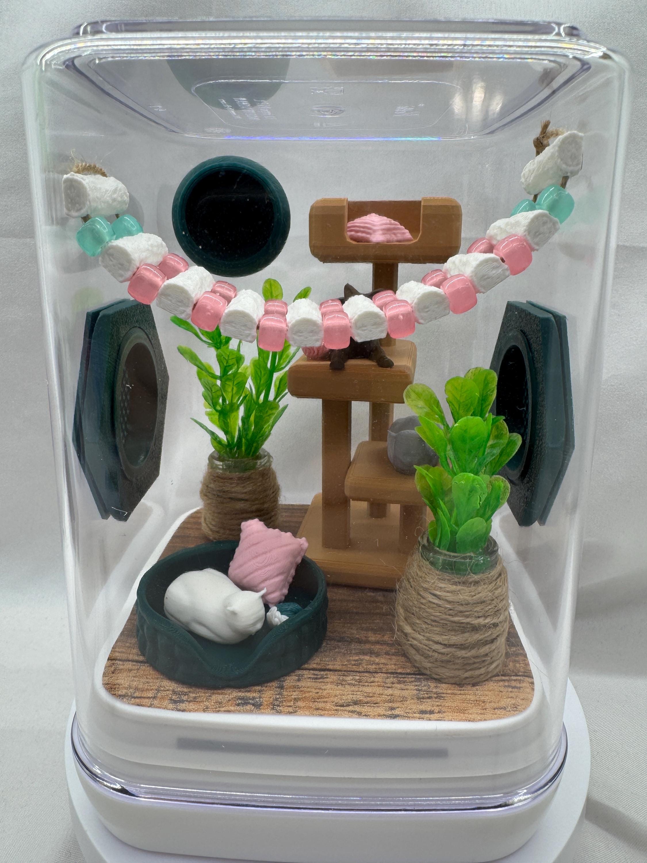 Cat-Themed Enclosure for Arachnid Pets - Safe, Custom Terrarium & Home - Decor-Adorable Jumping Spider Habitat