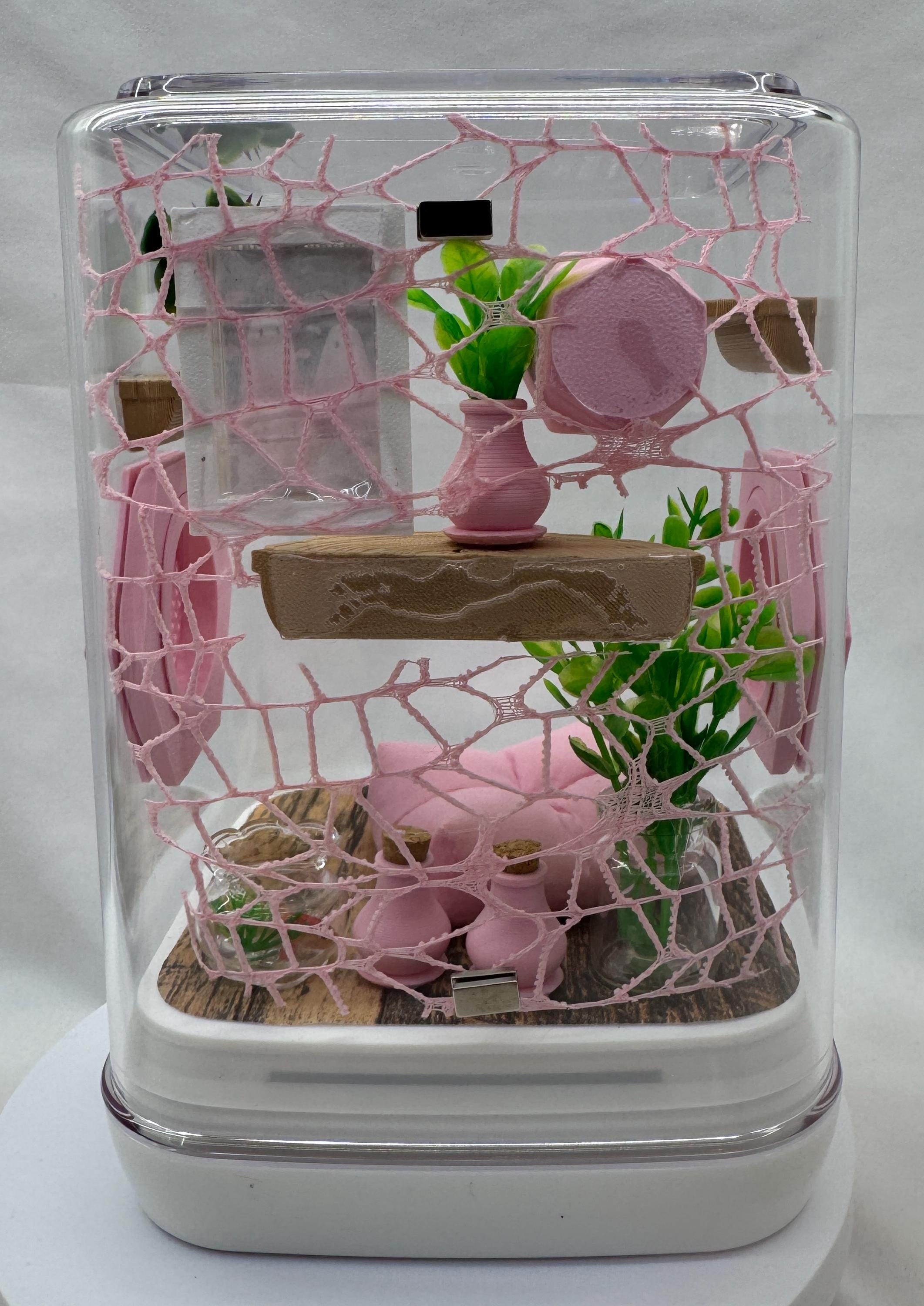 Webby Pink Paradise Jumping Spider Terrarium, Customizable Enclosure & Accessories for Pet Arachnids