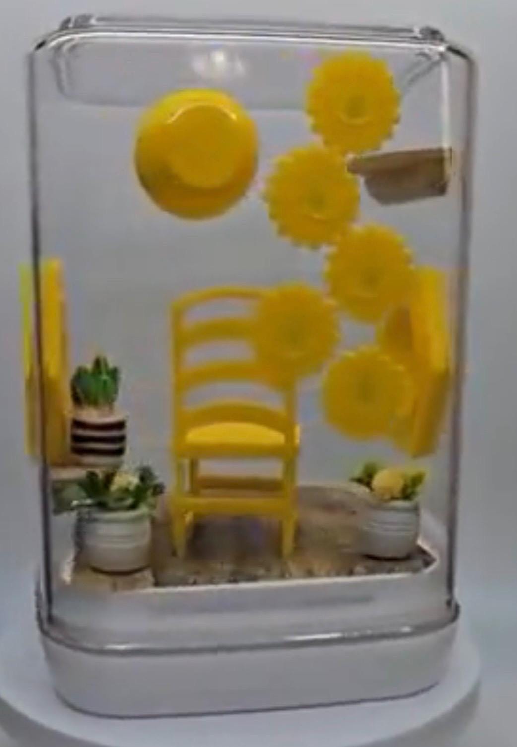 Sunflower Jumping Spider Enclosure: Decorated Spider Habitat