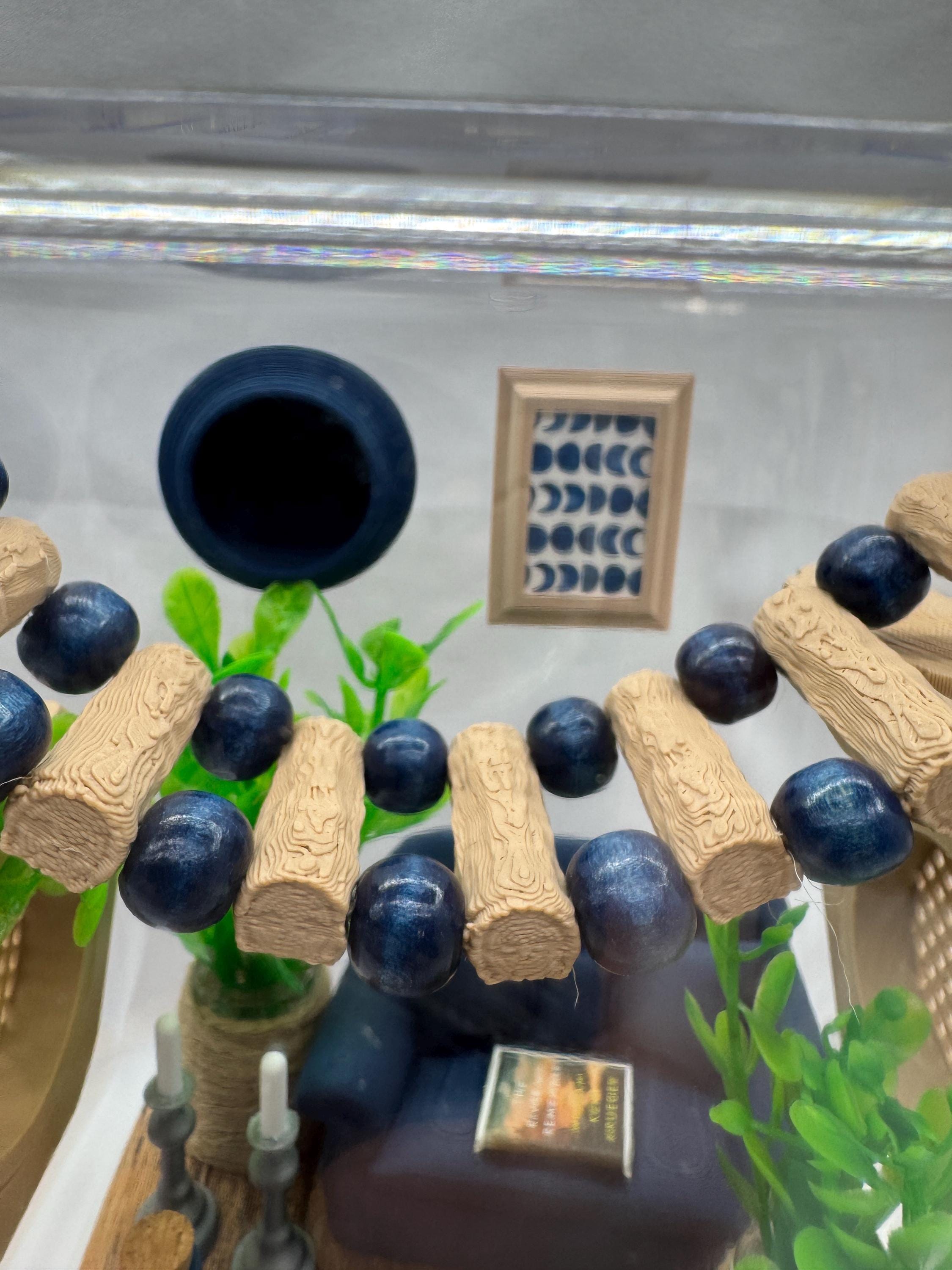 The Chic Spood Crib jumping spider enclosure, pet house, home