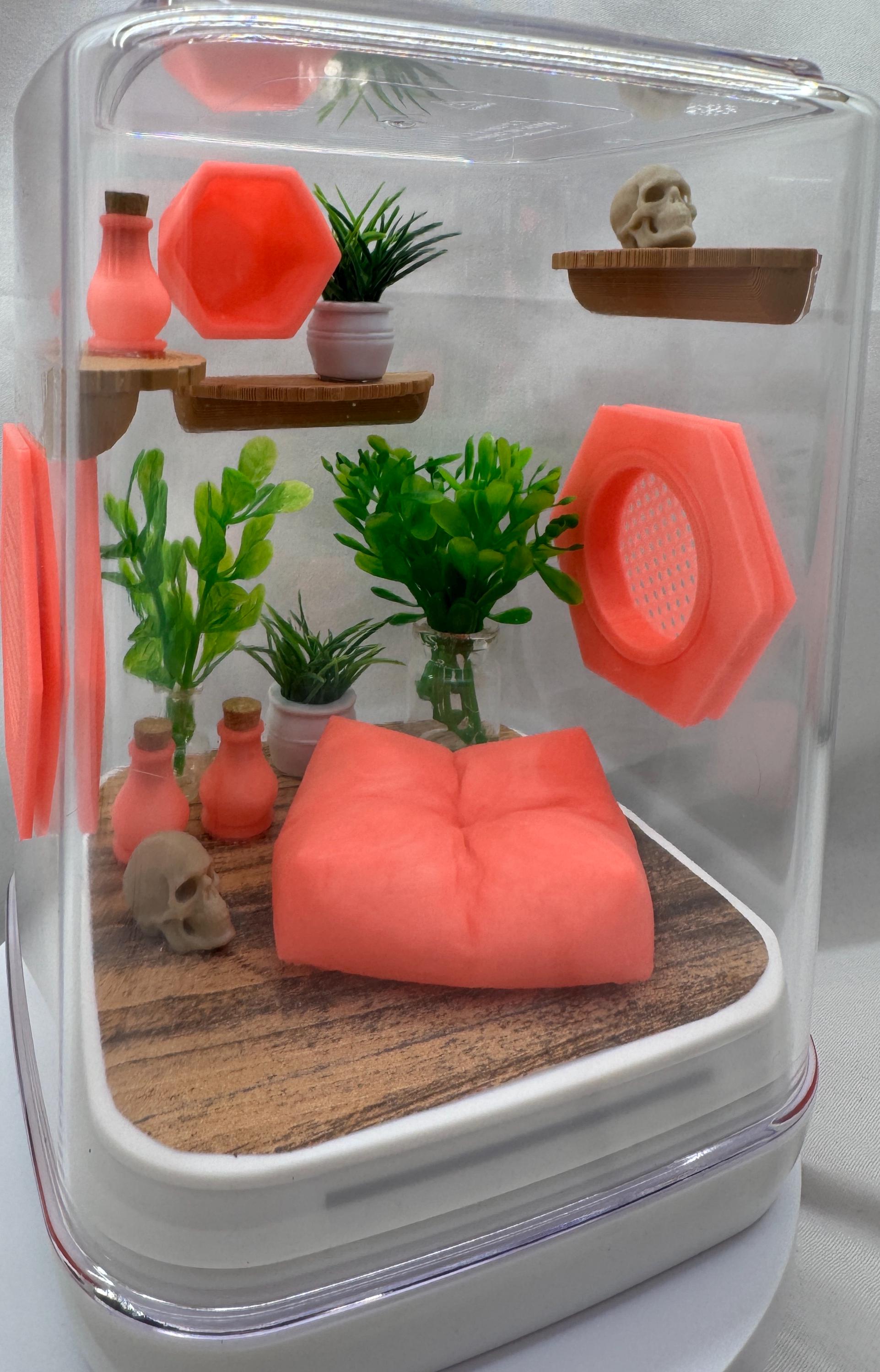 Coral Cove Glow jumping spider enclosure, pet house, home
