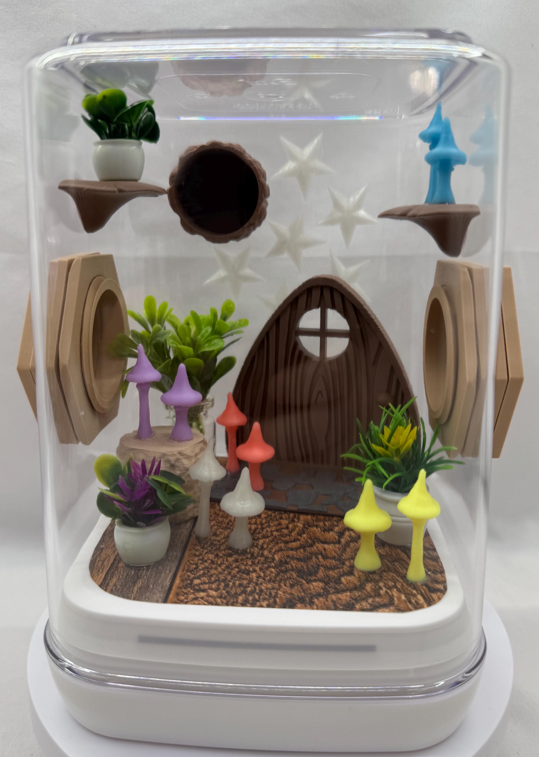 Glow Mushroom madness jumping spider enclosure,terrarium, acrylic, pet houses