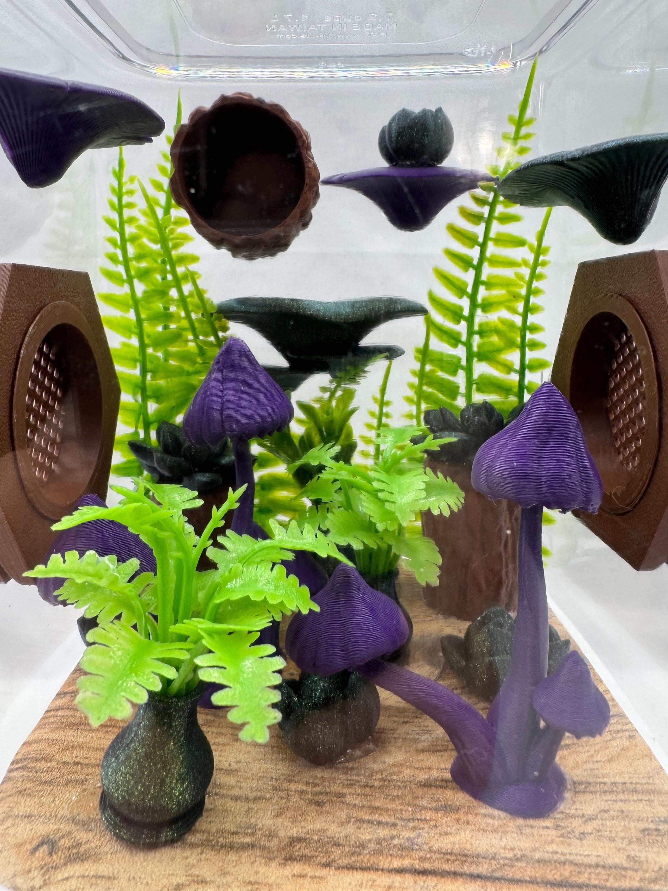 Rainforest-Themed Jumping Spider Enclosure, Decorated Pet House, Habitat, Custom Spider Hide, Terrarium Accessories