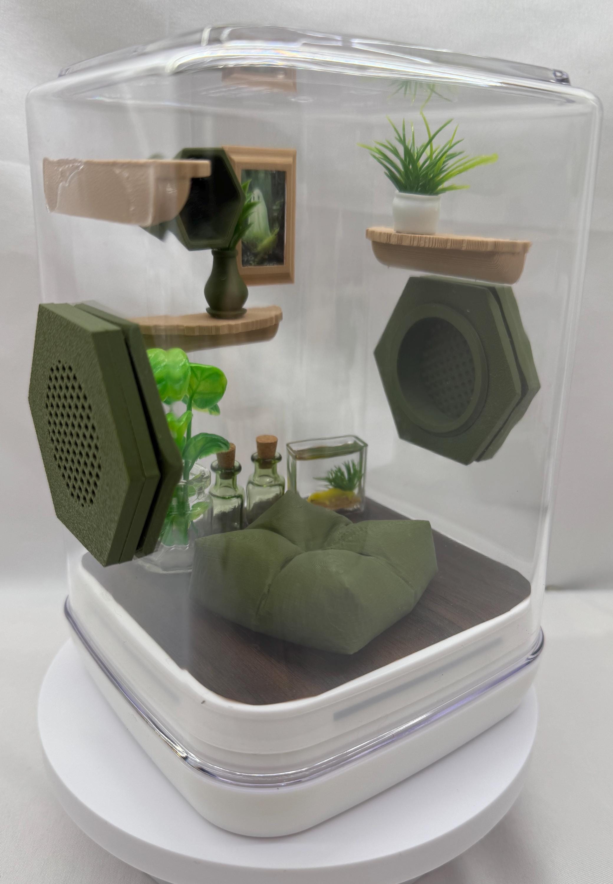 Olive Cove jumping spider enclosure