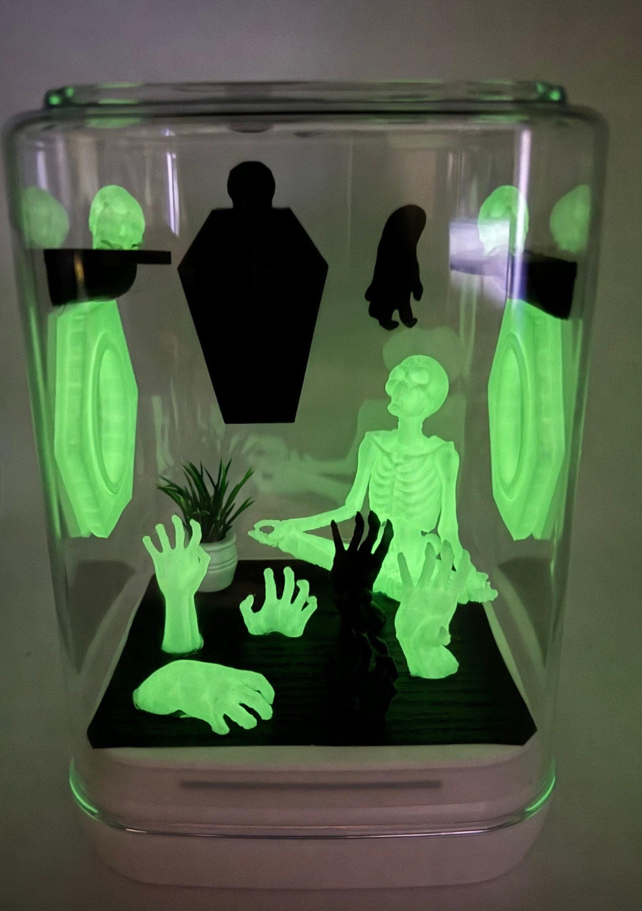 Glowing Ghoul Jumping Spider Enclosure: Acrylic Terrarium (5x5x7 inches)