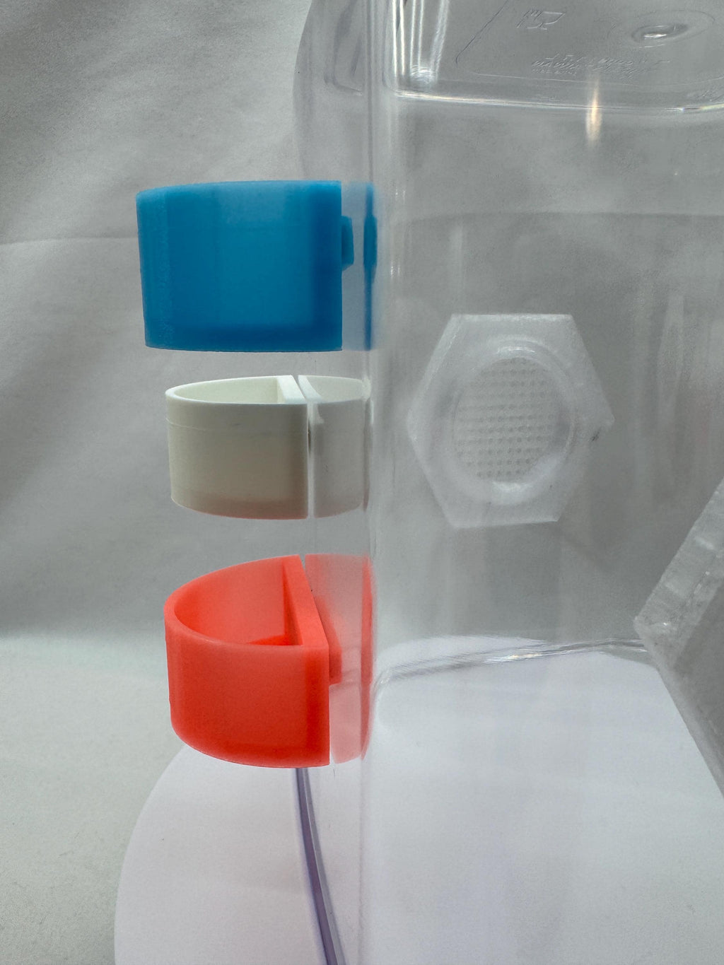 Jumping spider feeding dish, accessories