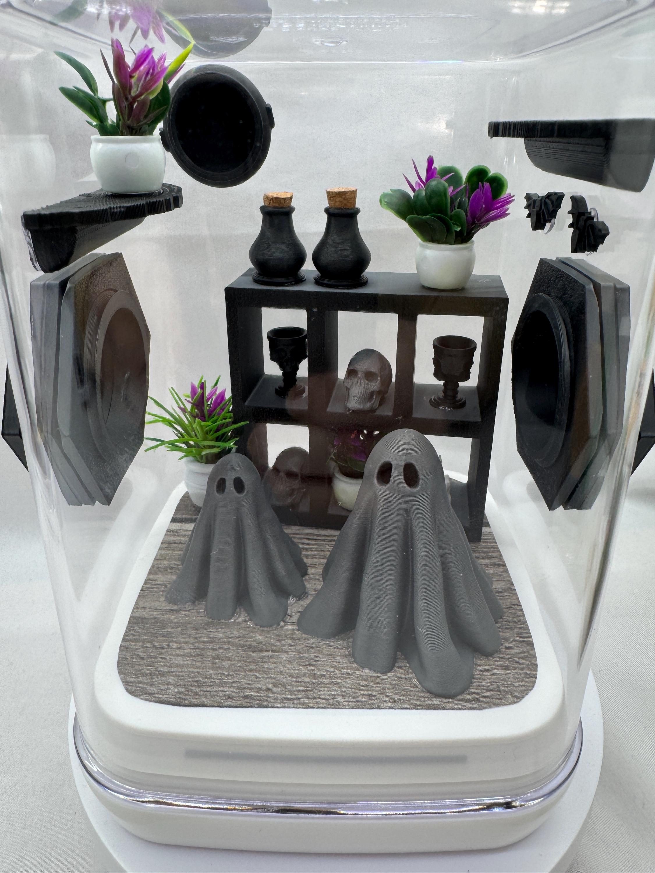Jumping Spider Enclosure, Haunted Ghost Mansion, Spooky Decor, Acrylic, 3D Printed