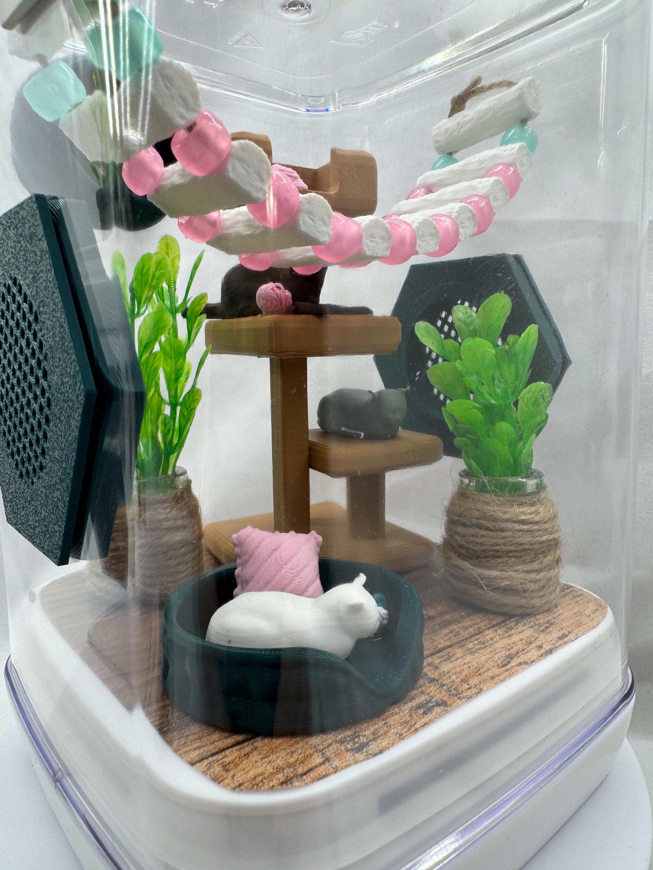 Cat-Themed Enclosure for Arachnid Pets - Safe, Custom Terrarium & Home - Decor-Adorable Jumping Spider Habitat