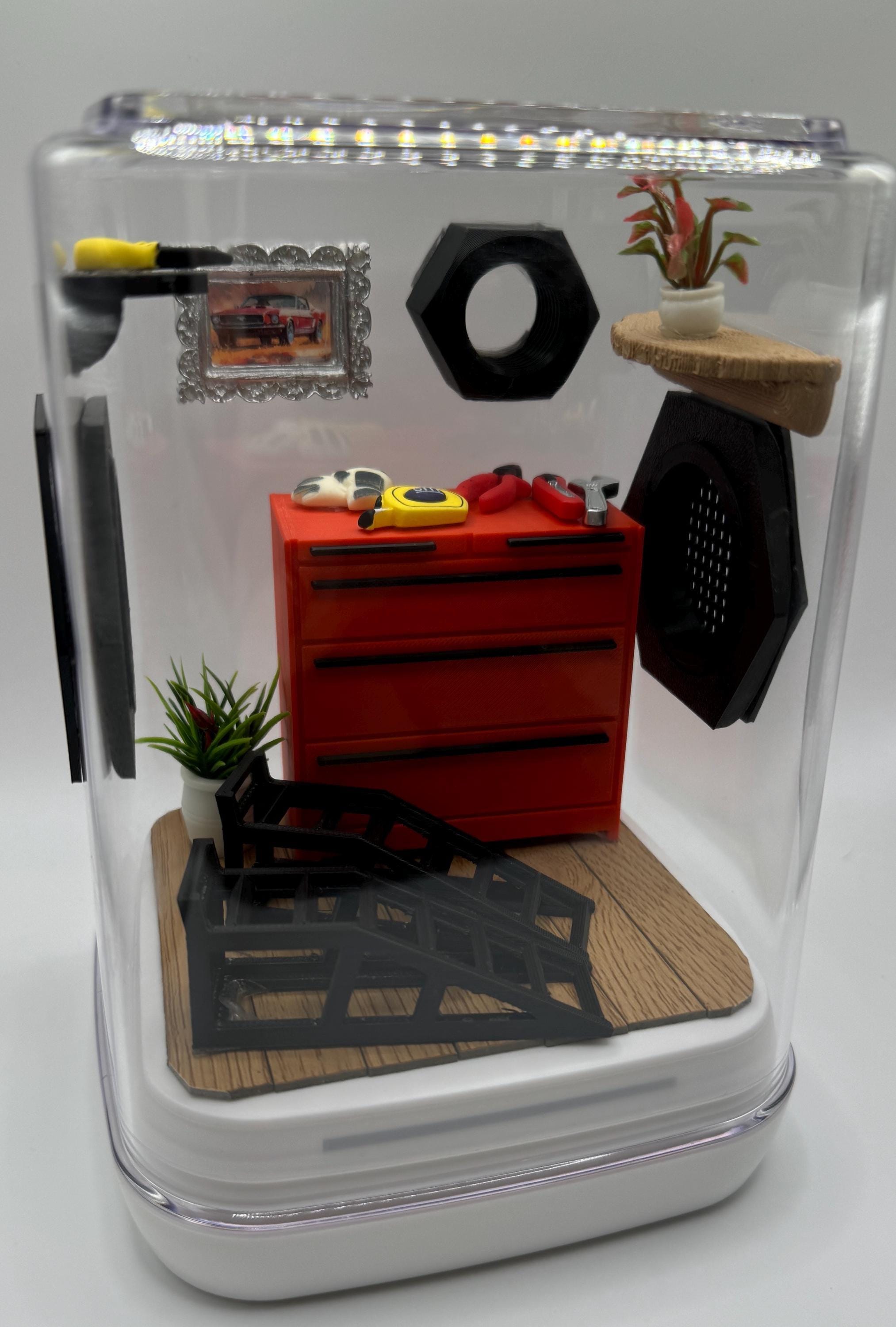 Decorated Garage Jumping Spider Enclosure (5x5x7 inches)