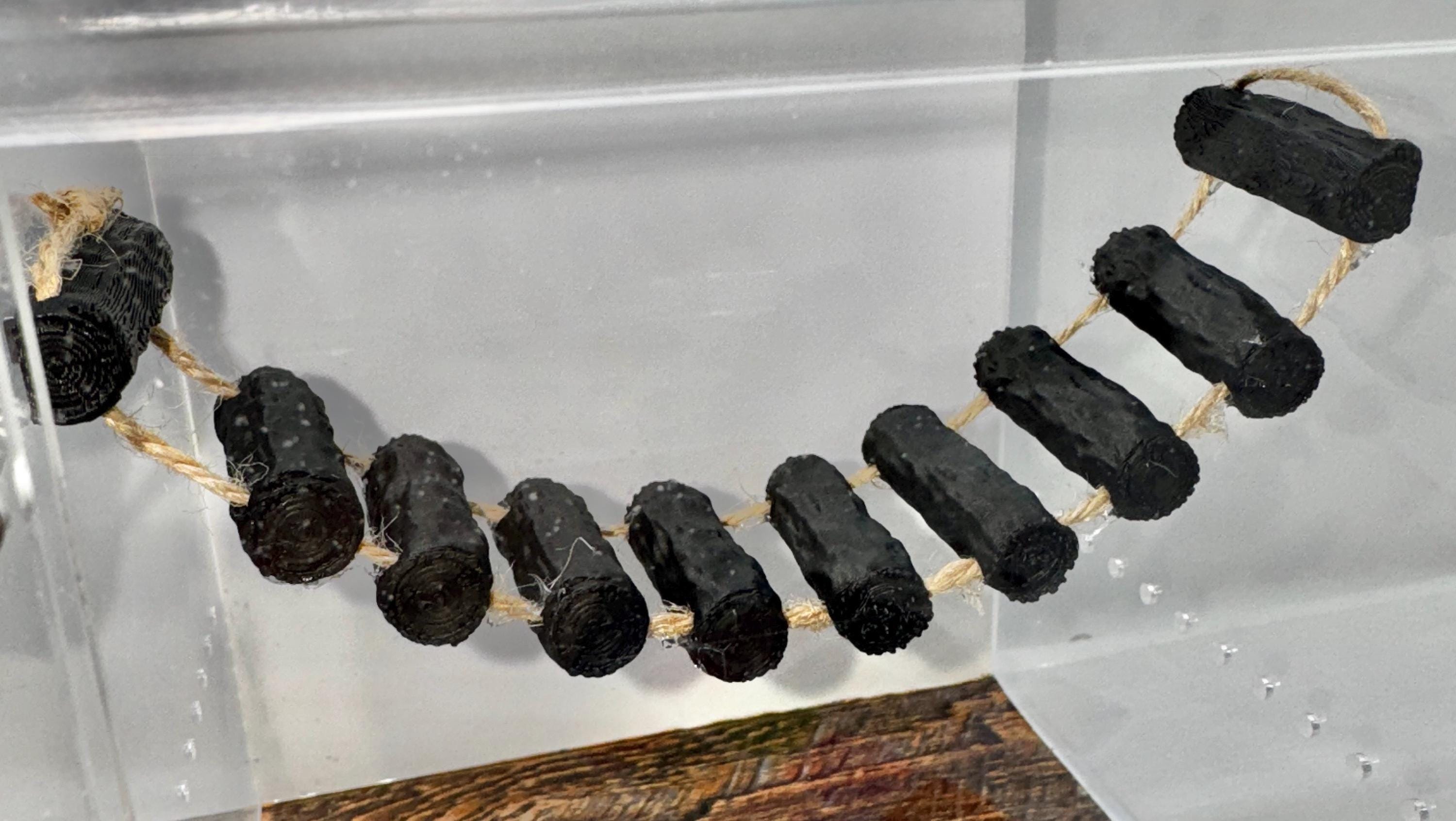 Magnetic Jumping Spider Bridge | Terrarium Decor | Spider Enclosure Accessories | Customizable |  Enrichment