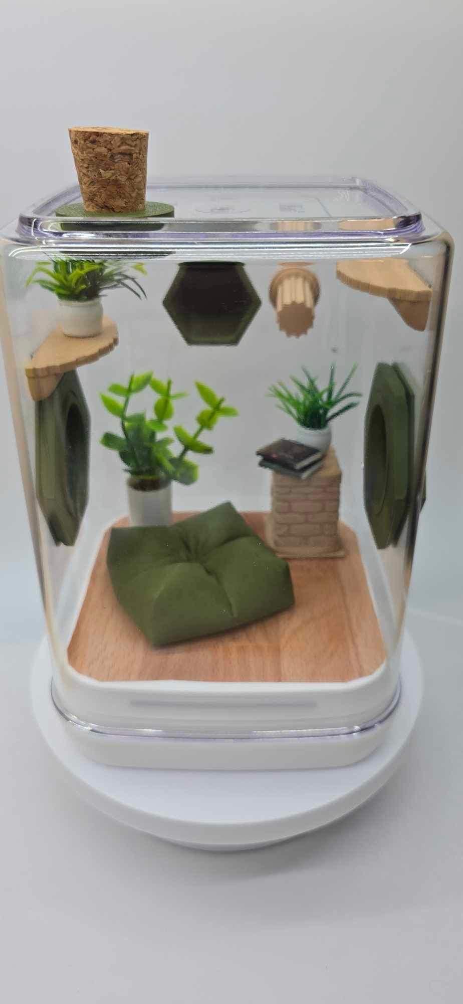 Accessory Pack for Jumping spiders,  enclosure decorations, Olive Nook