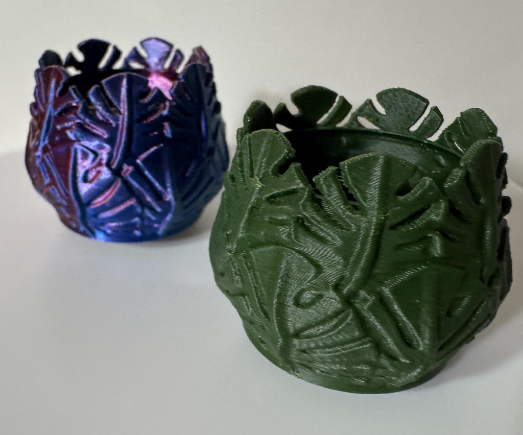 Leaf Hide for Jumping Spider Enclosure: Accessories