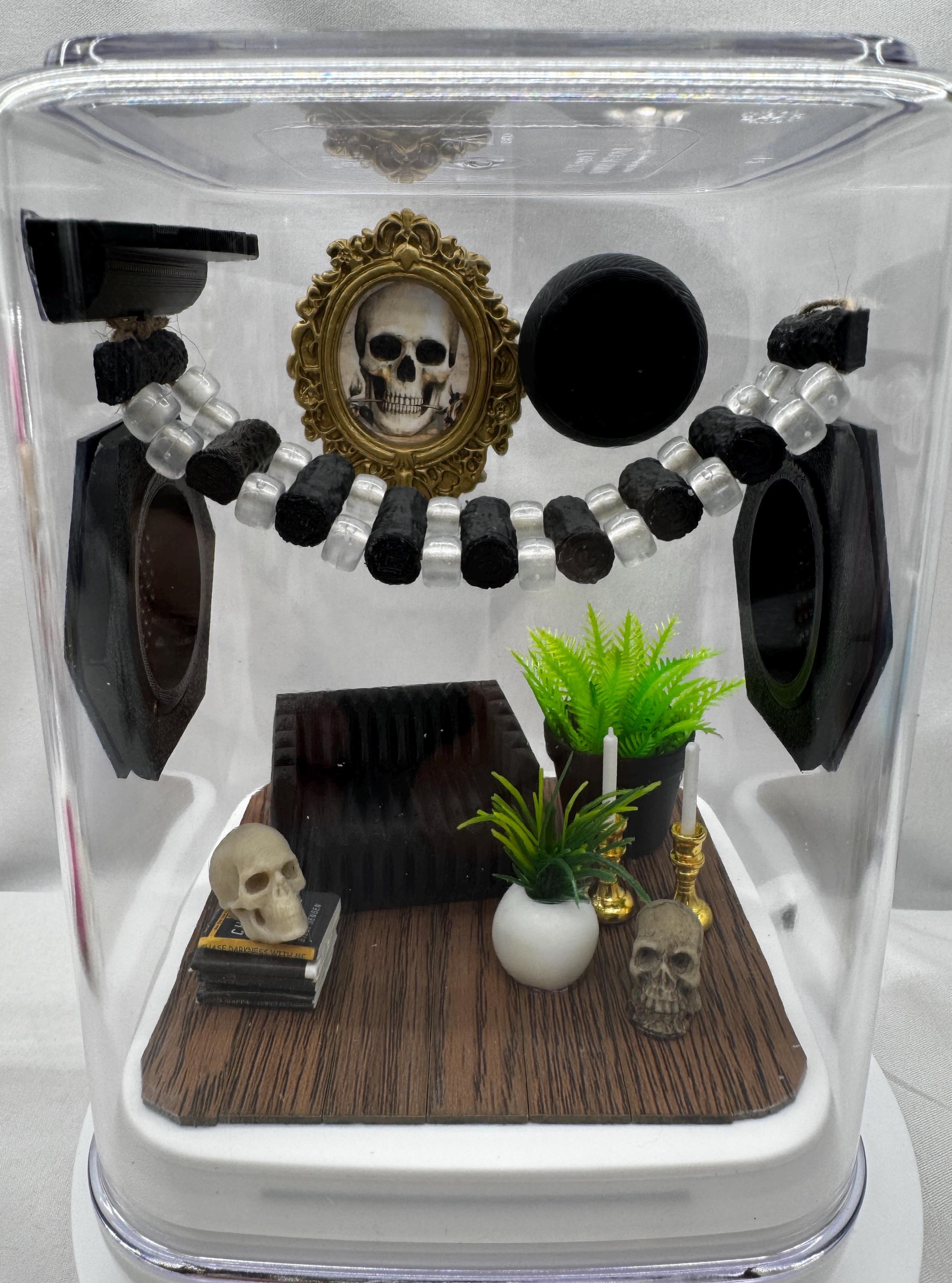 Spooky Jumping Spider Enclosure: Glow Bridge Terrarium