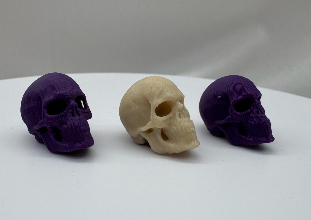 3D Printed Spider Skulls: Spooky Enclosure Decor, Set of 2