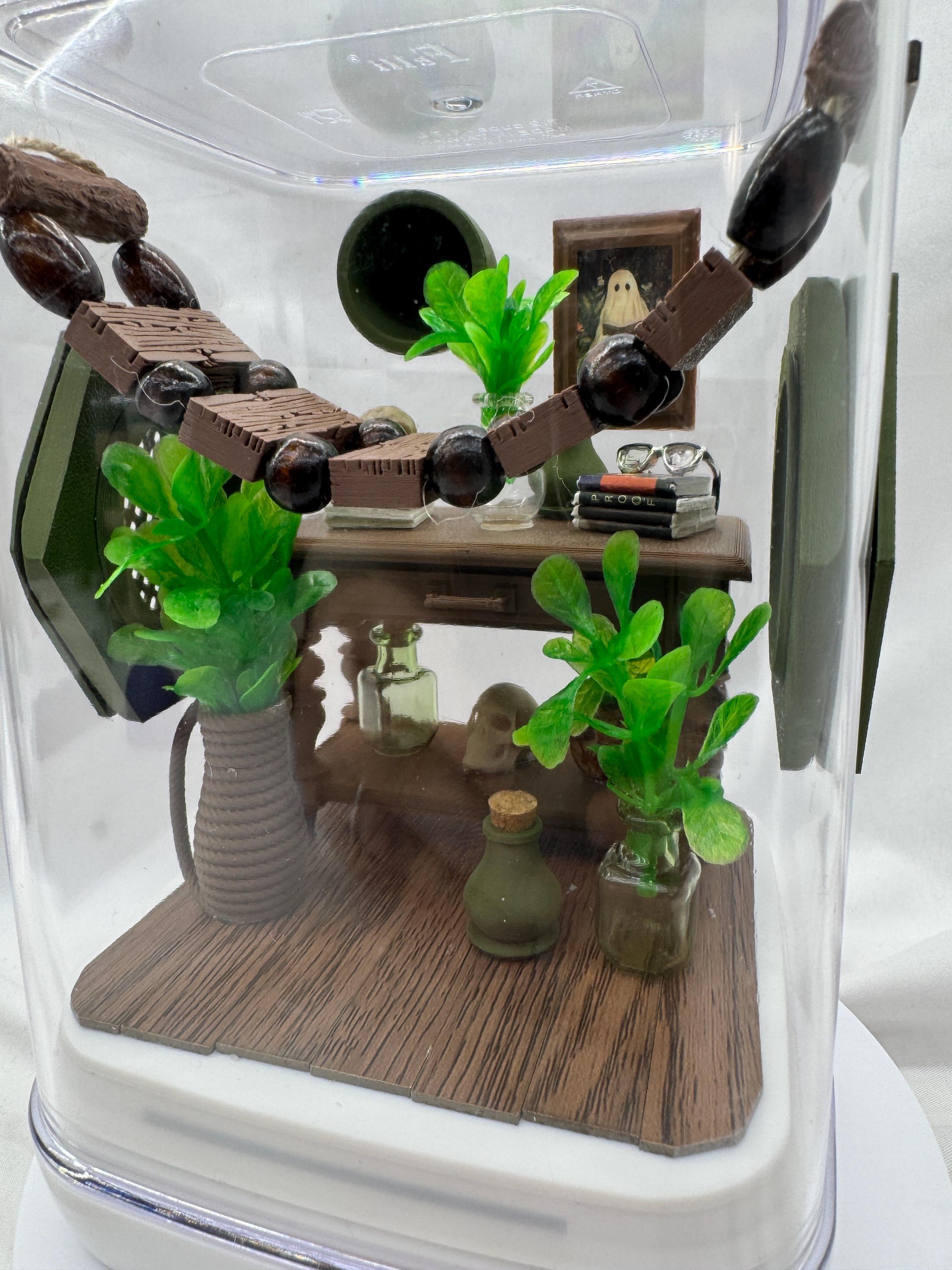 Decorated Jumping Spider Enclosure: Jungle Study Terrarium (5x5x7 inches)