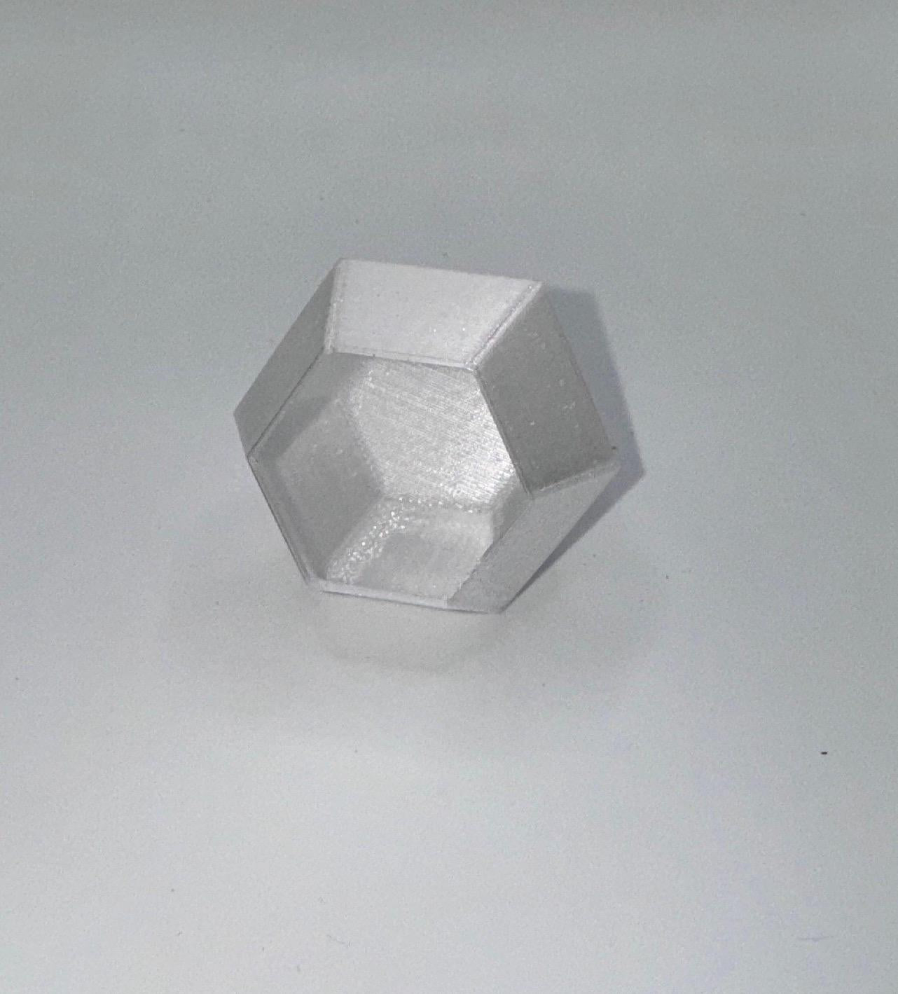 Hexagon Jumping Spider Hide: Enclosure Decor
