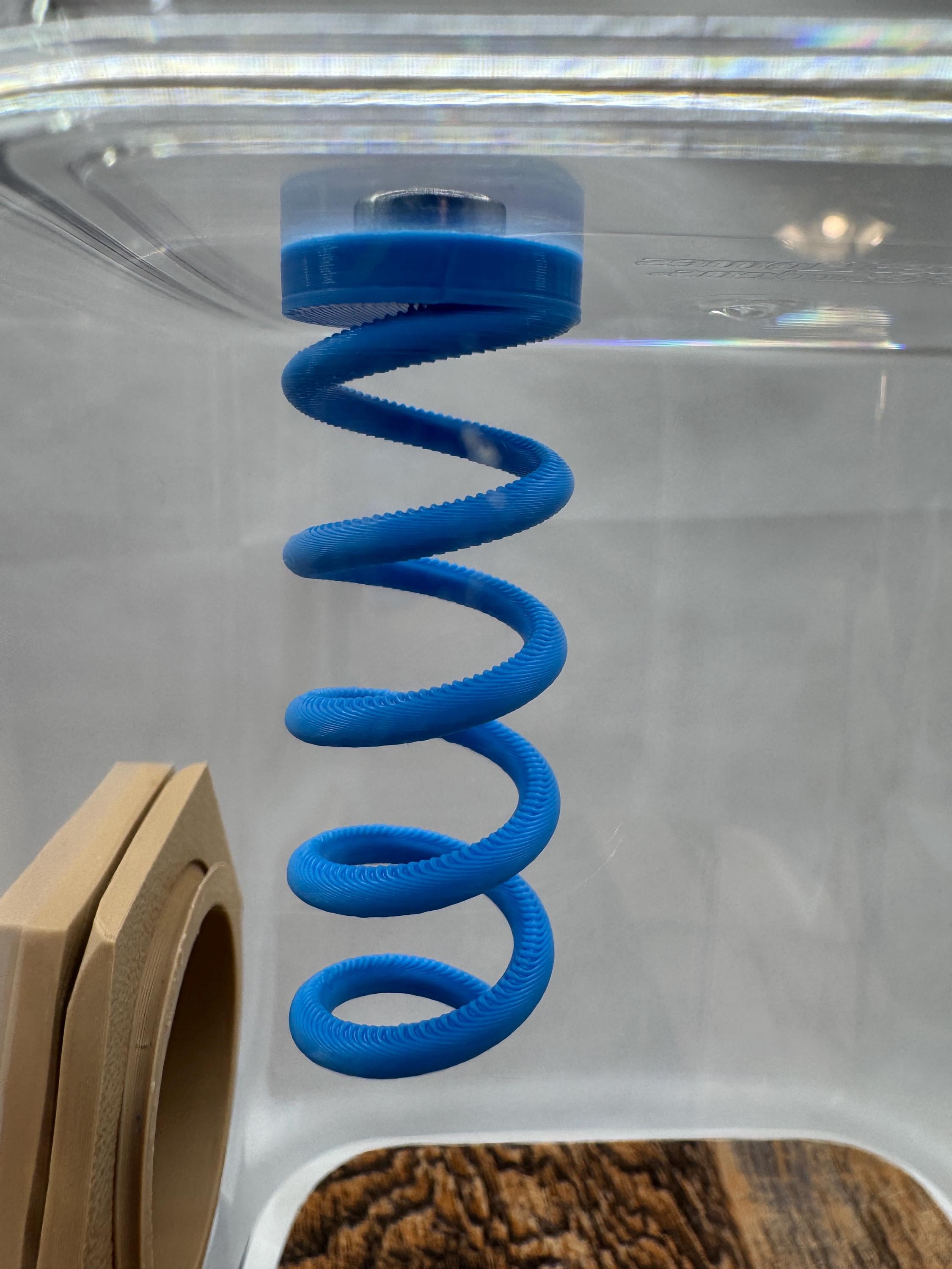 Jumping Spider Magnetic Sling Spring: Enrichment Decor