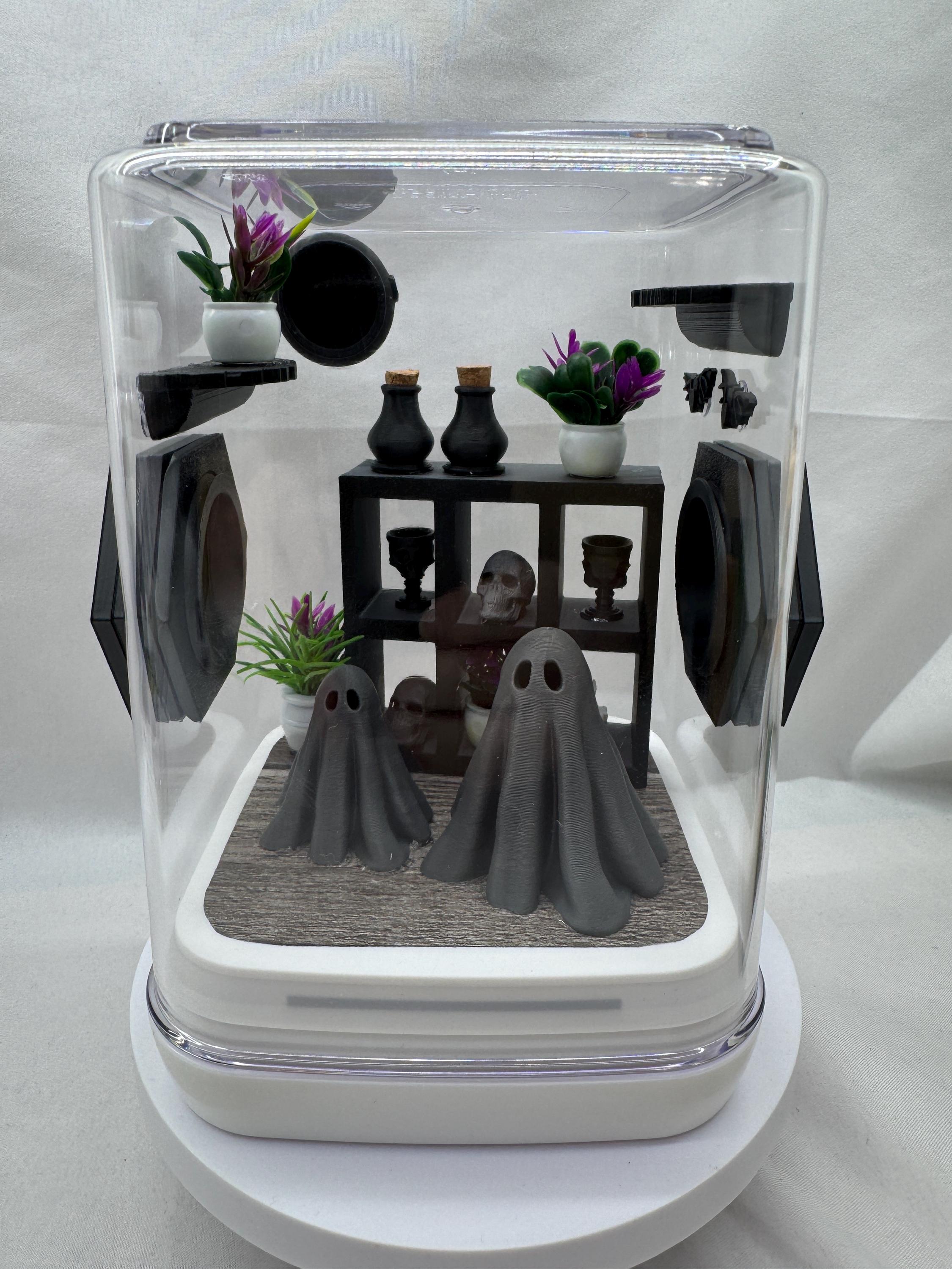 Jumping Spider Enclosure, Haunted Ghost Mansion, Spooky Decor, Acrylic, 3D Printed