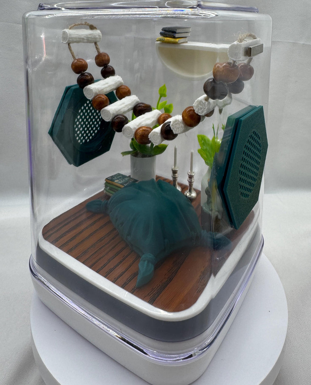 Accessory Pack for The Boho Room jumping spider enclosure, jumping spiders, accessories, 3d printed