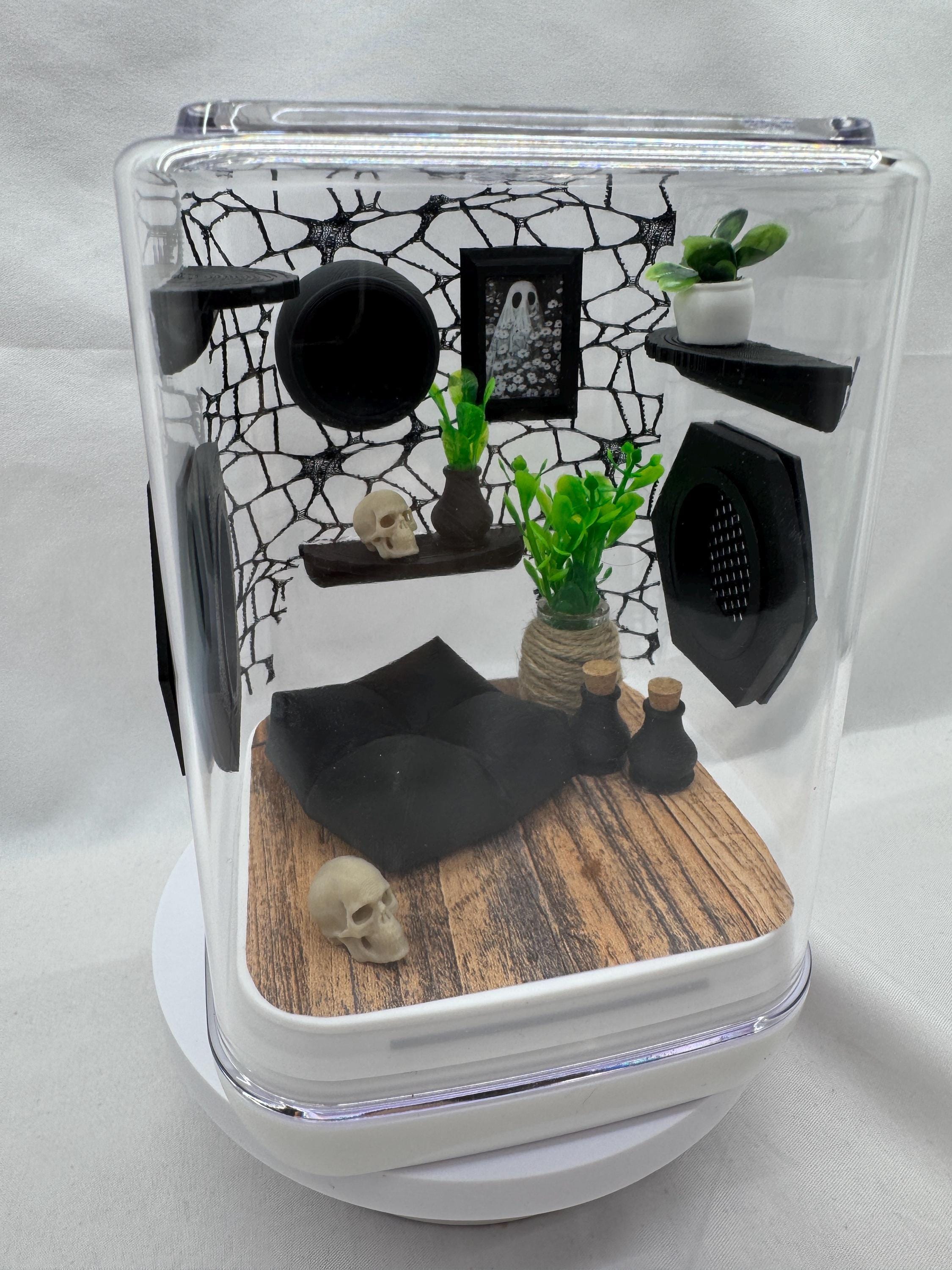 Webby Haven jumping spider enclosure, terrarium, acrylic, home
