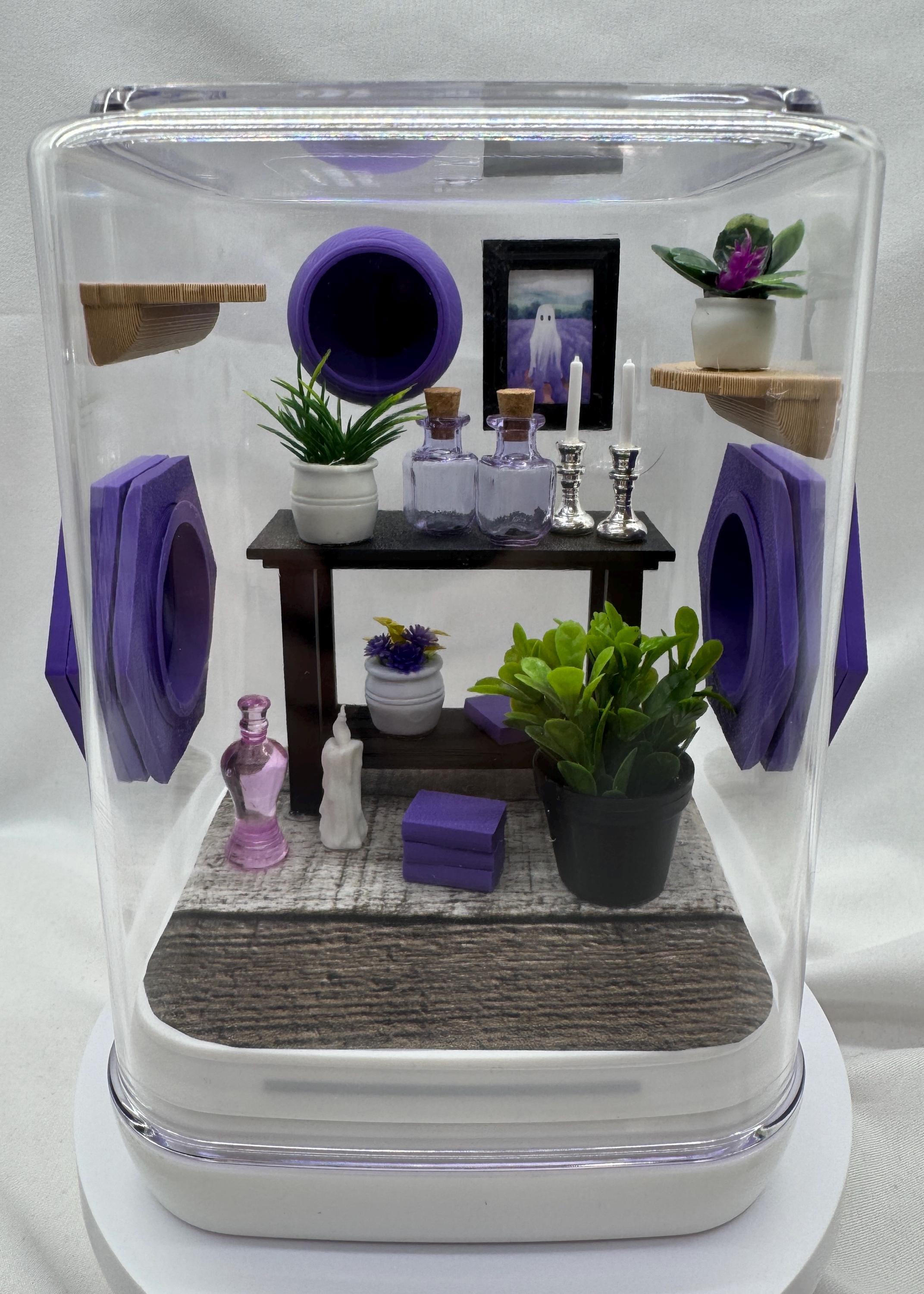 The Spooky Spider Den jumping spider enclosure
