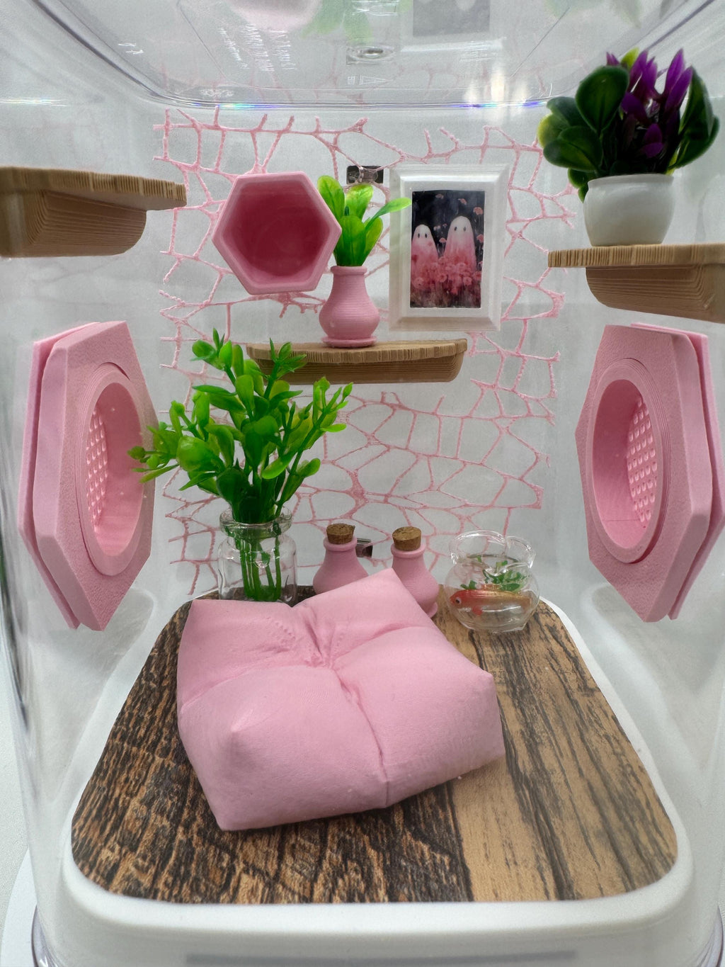 Webby Pink Paradise Jumping Spider Terrarium, Customizable Enclosure & Accessories for Pet Arachnids
