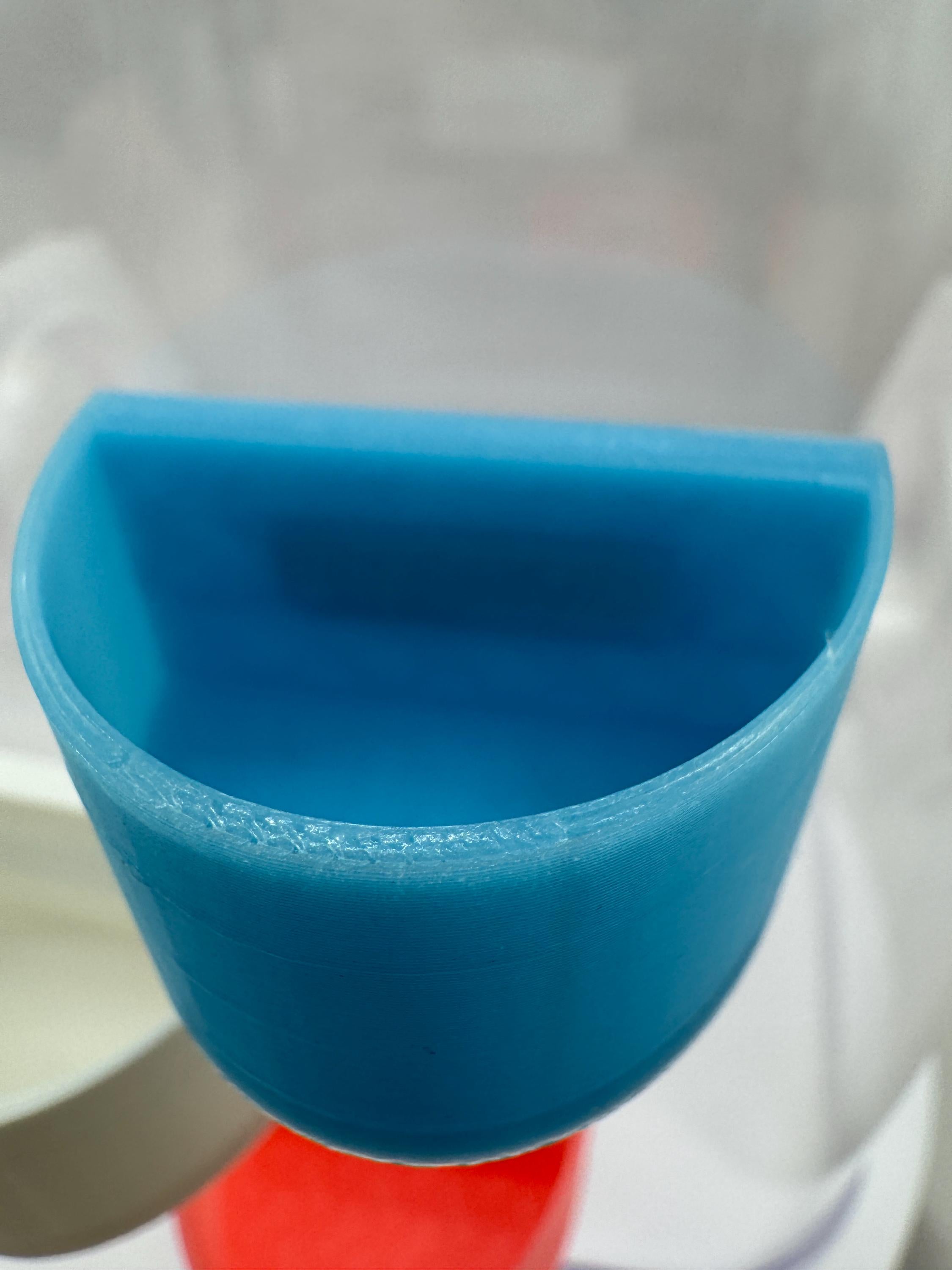 Jumping spider feeding dish, accessories