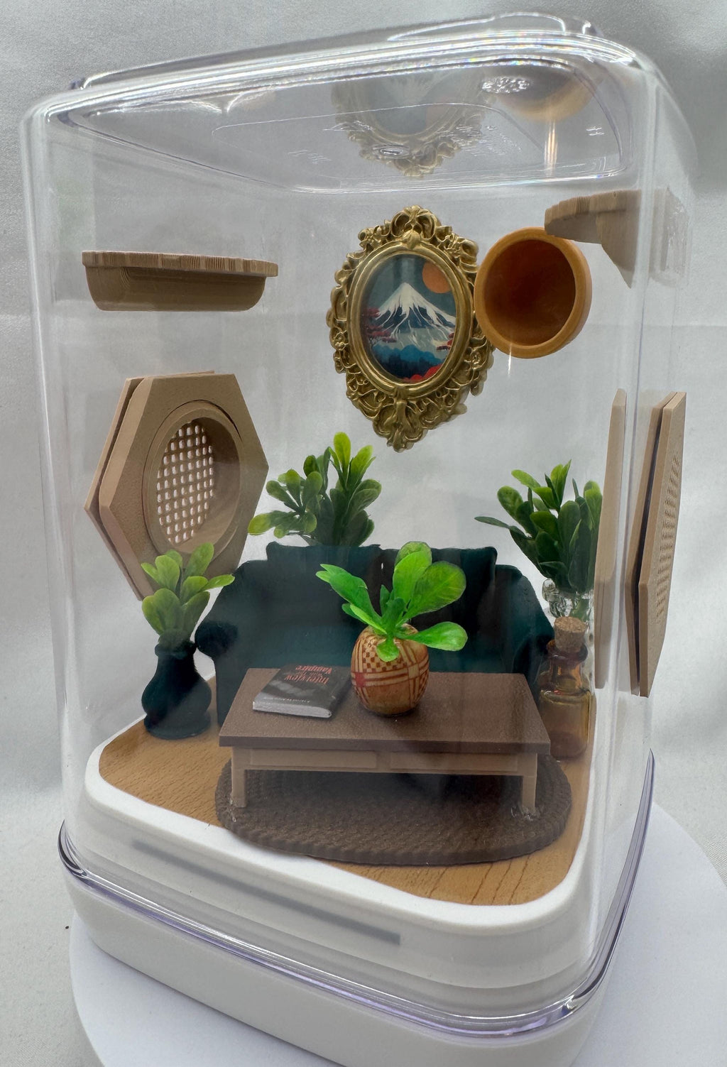 Decorated Jumping Spider Enclosure: Acrylic Living Room Terrarium (5x5x7 inches)