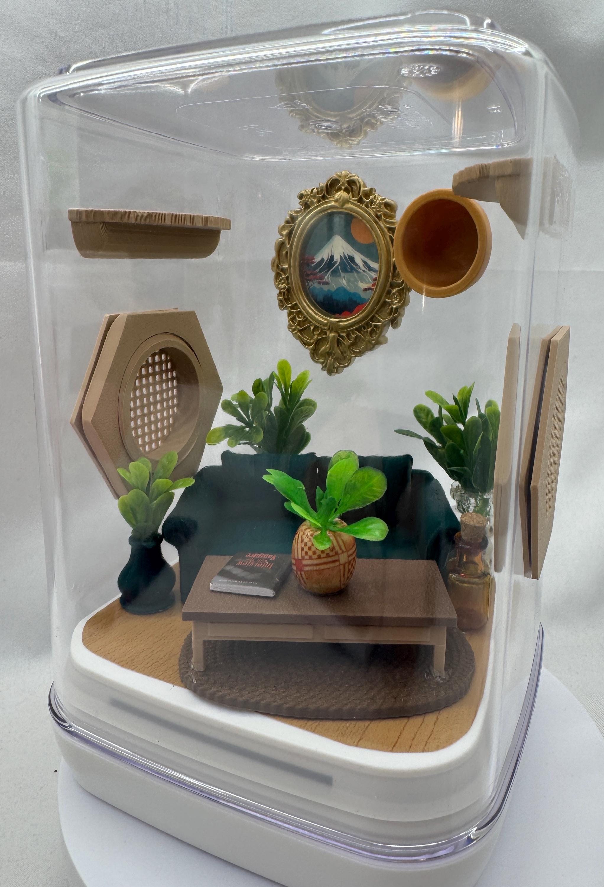 Decorated Jumping Spider Enclosure: Acrylic Living Room Terrarium (5x5x7 inches)