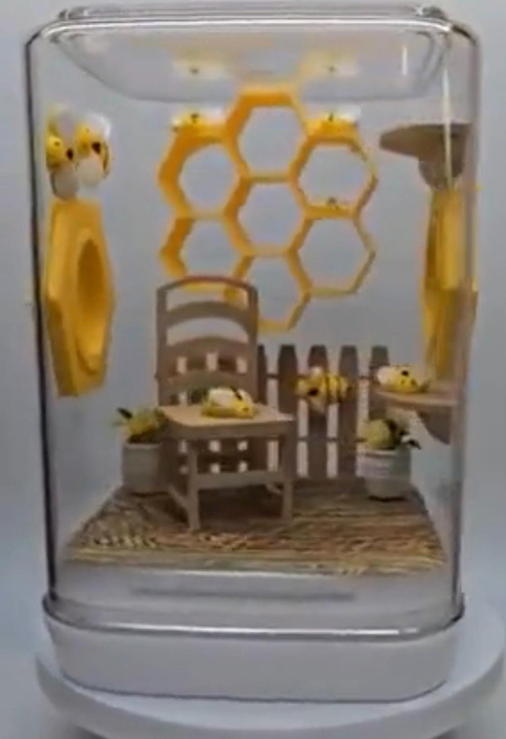 Accessory Pack for The Bee Hive jumping spider enclosure