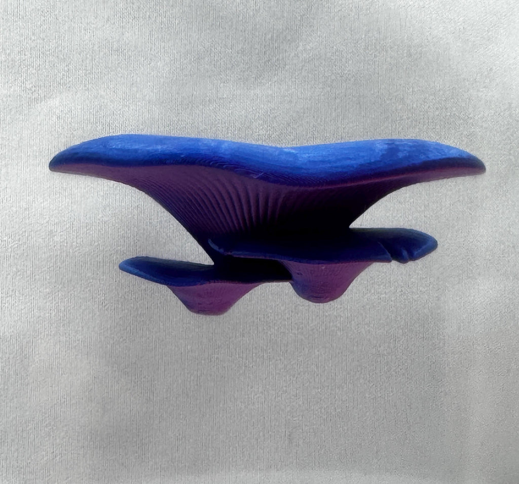 Jumping Spider Ledge | Mushroom Decor For Enclosure
