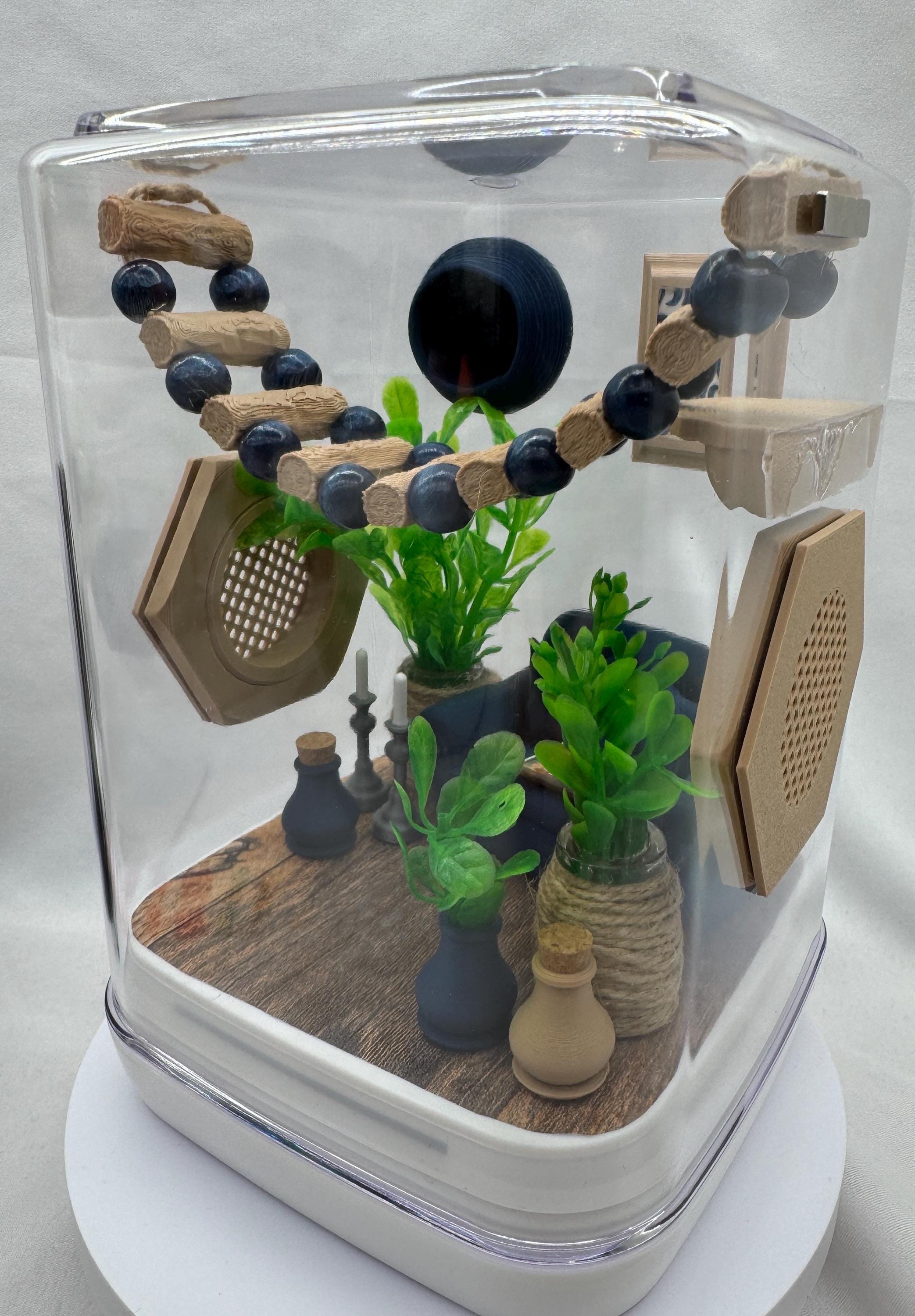 The Chic Spood Crib jumping spider enclosure, pet house, home