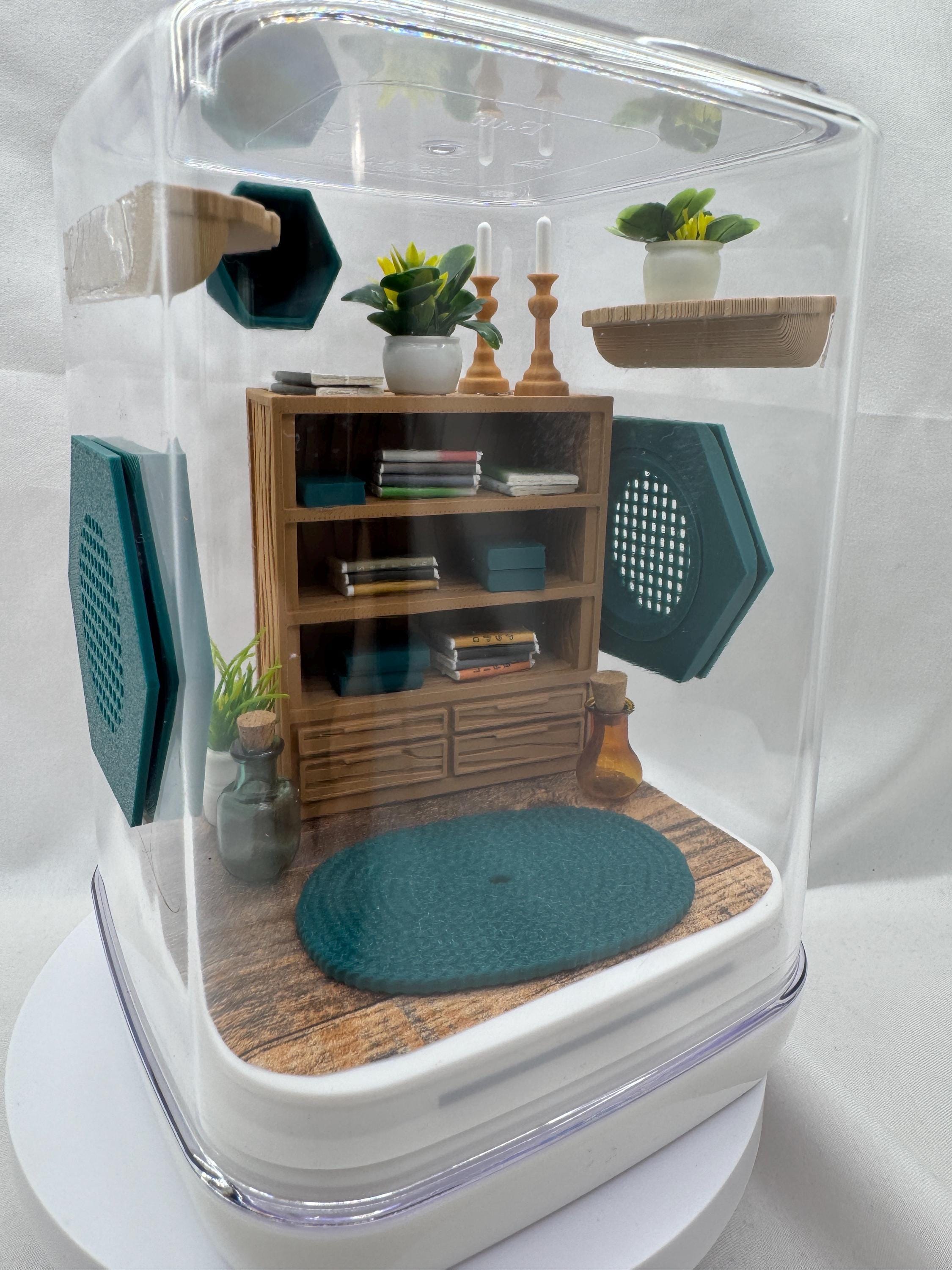 The spider study jumping spider enclosure