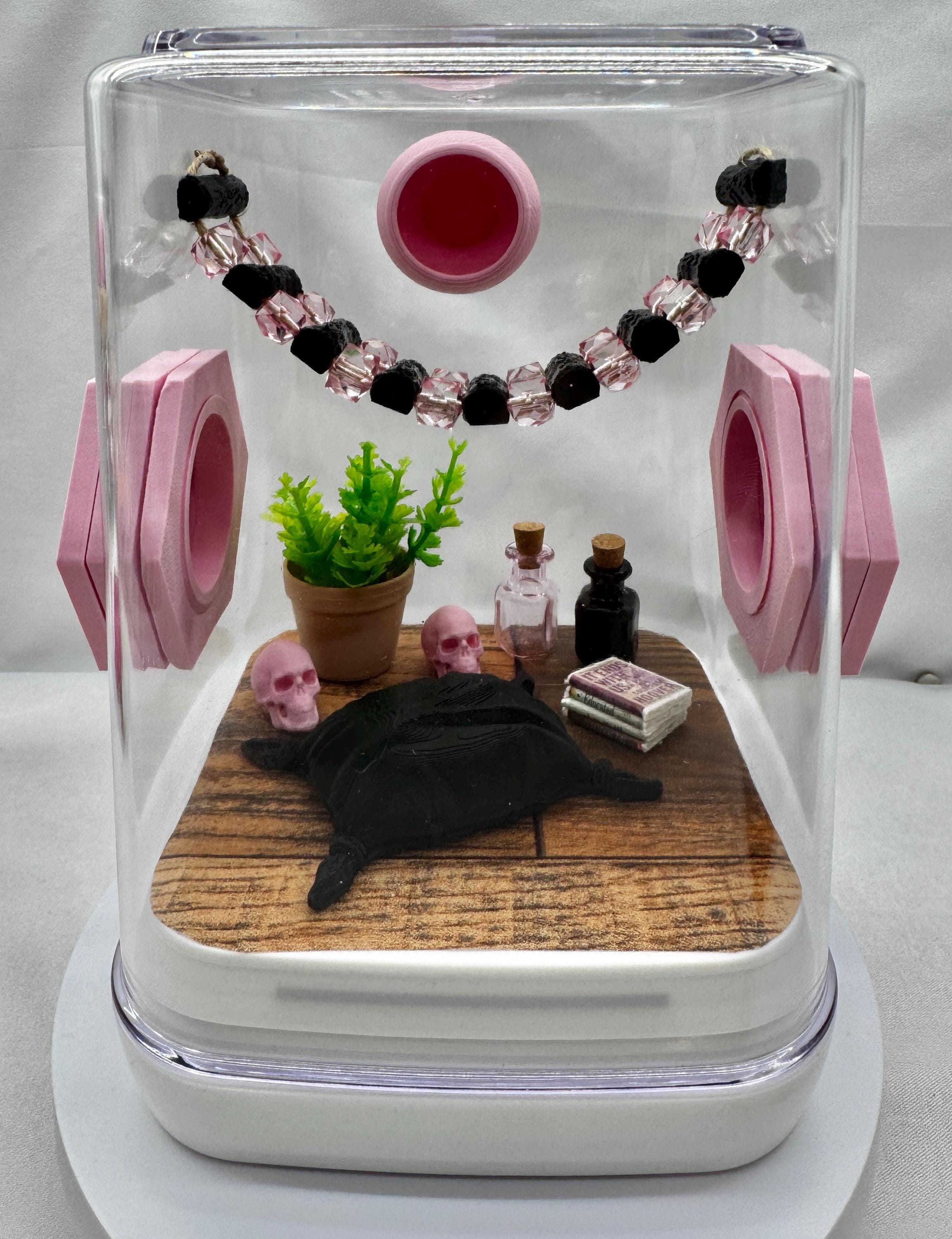 Decorated Jumping Spider Enclosure: Pink Eclipse Terrarium (5x5x7 inches)