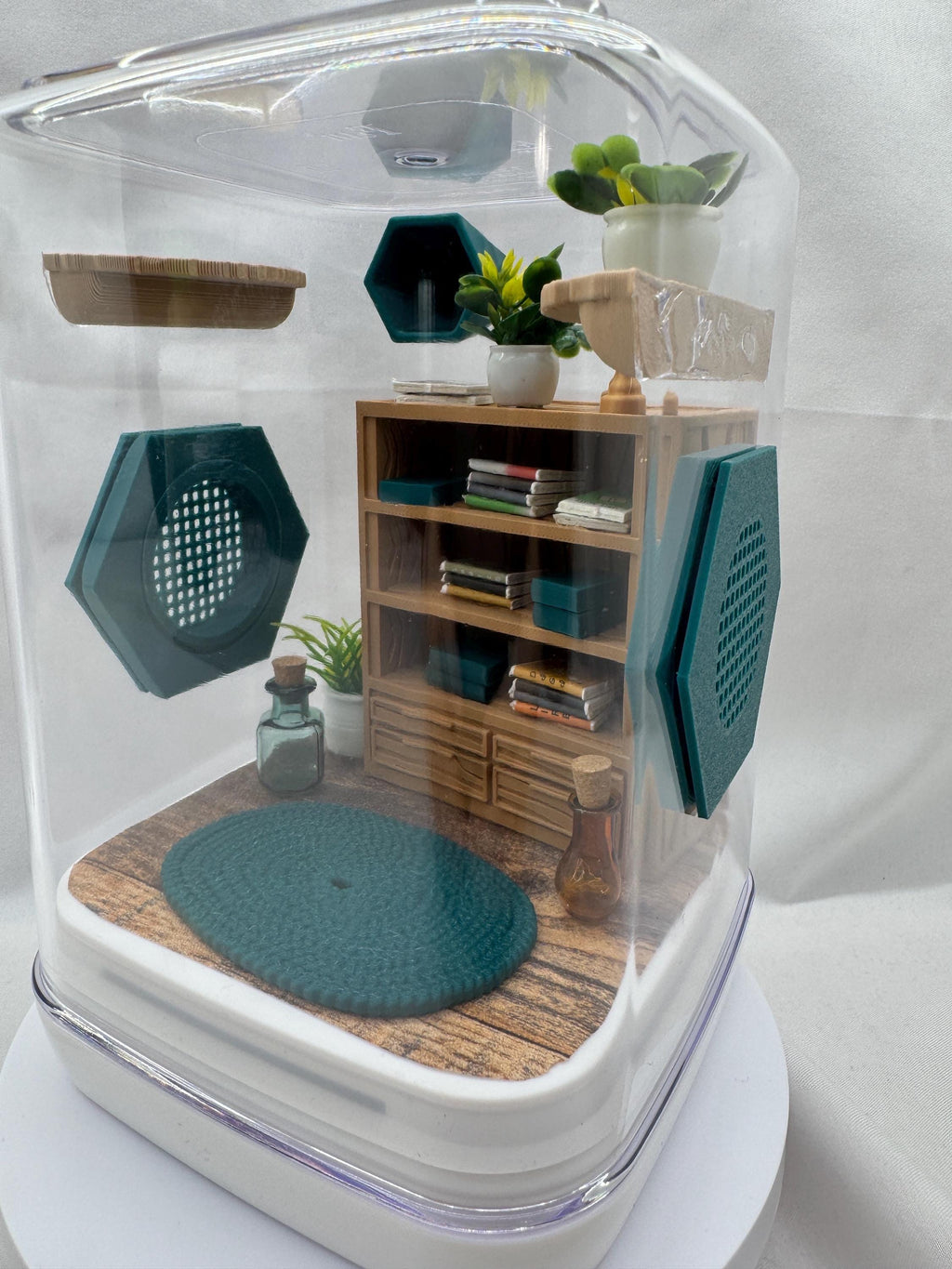 The spider study jumping spider enclosure