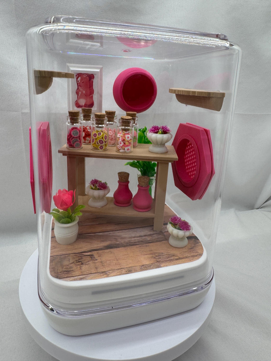 Accessory Pack for The Candy Shop jumping spider enclosure