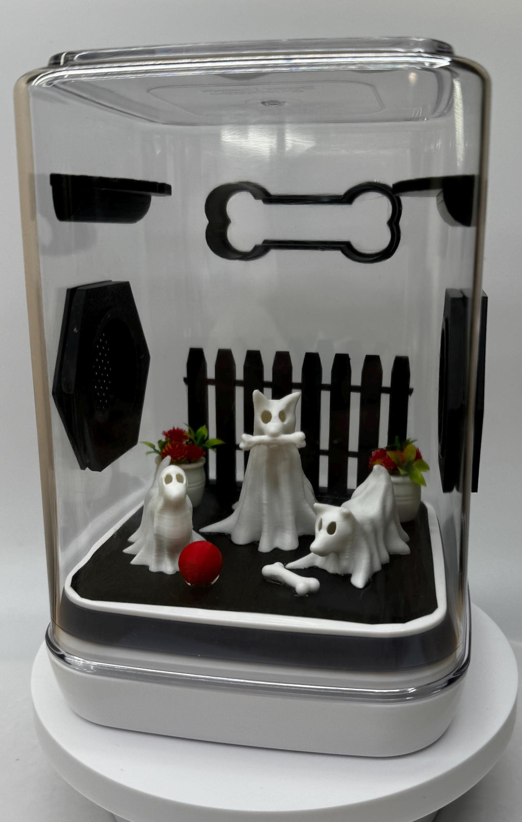 Decorated Jumping Spider Enclosure: Ghost Dogs Acrylic Terrarium (5x5x7 inches)