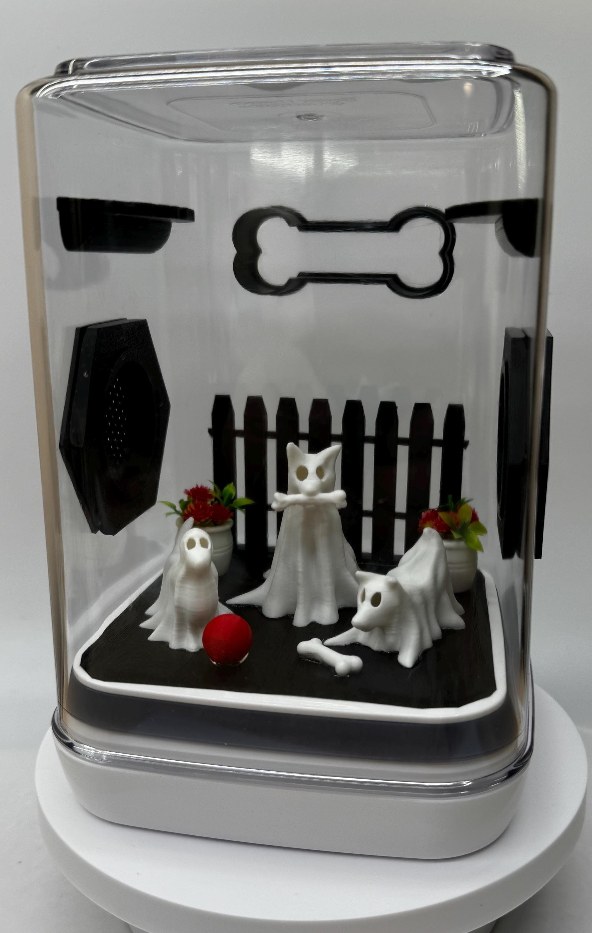 Decorated Jumping Spider Enclosure: Ghost Dogs Acrylic Terrarium (5x5x7 inches)