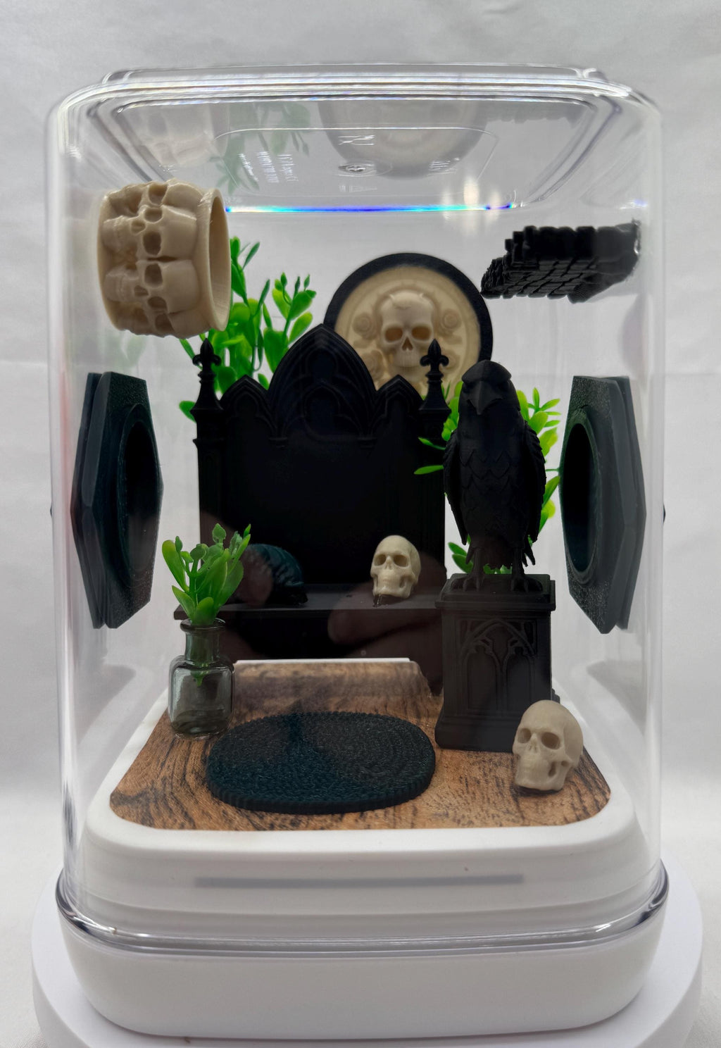 Gothic Jumping Spider Enclosure: Custom Arachnid Terrarium