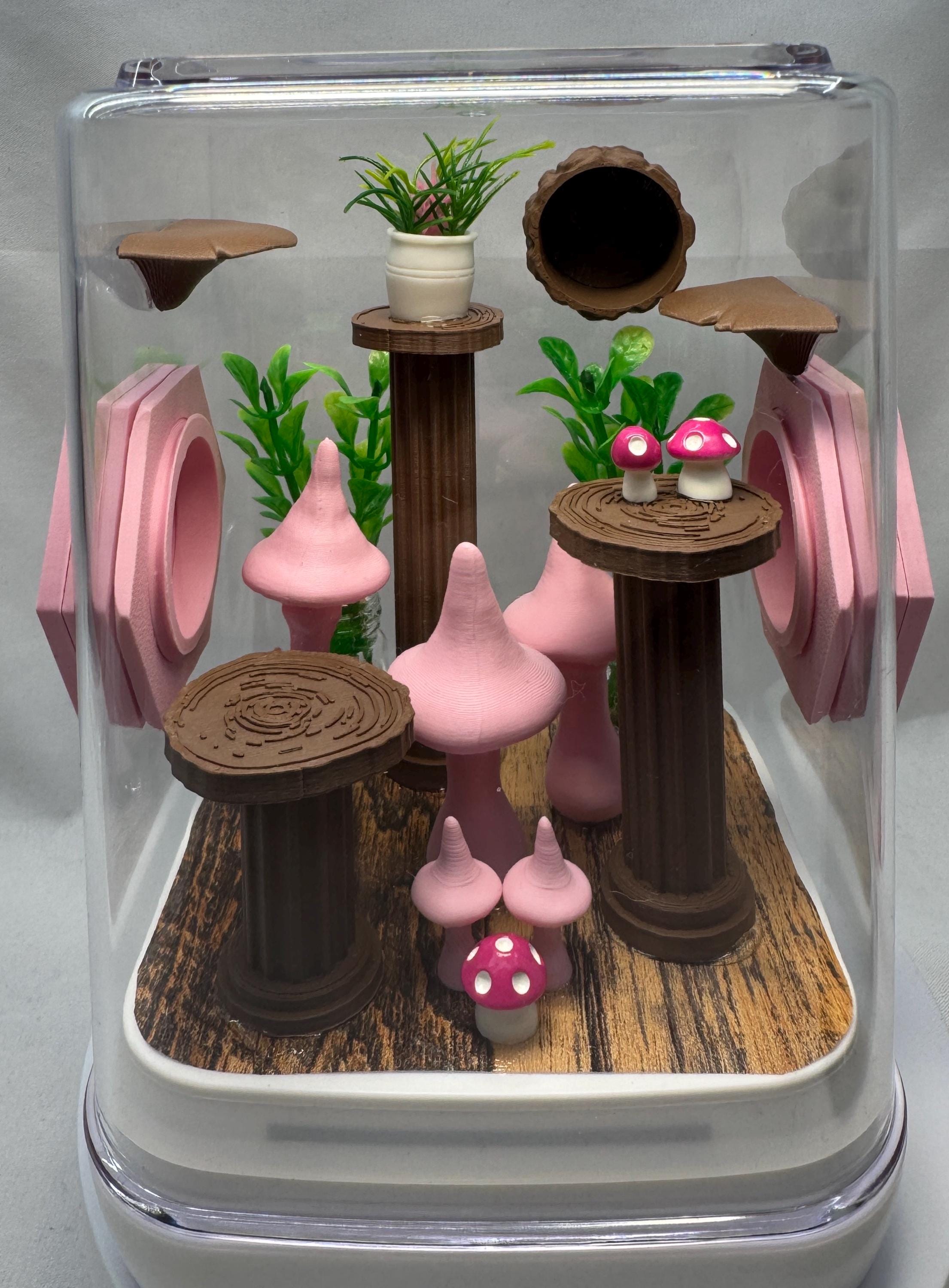 Decorated Jumping Spider Enclosure: Pink Mushroom Terrarium