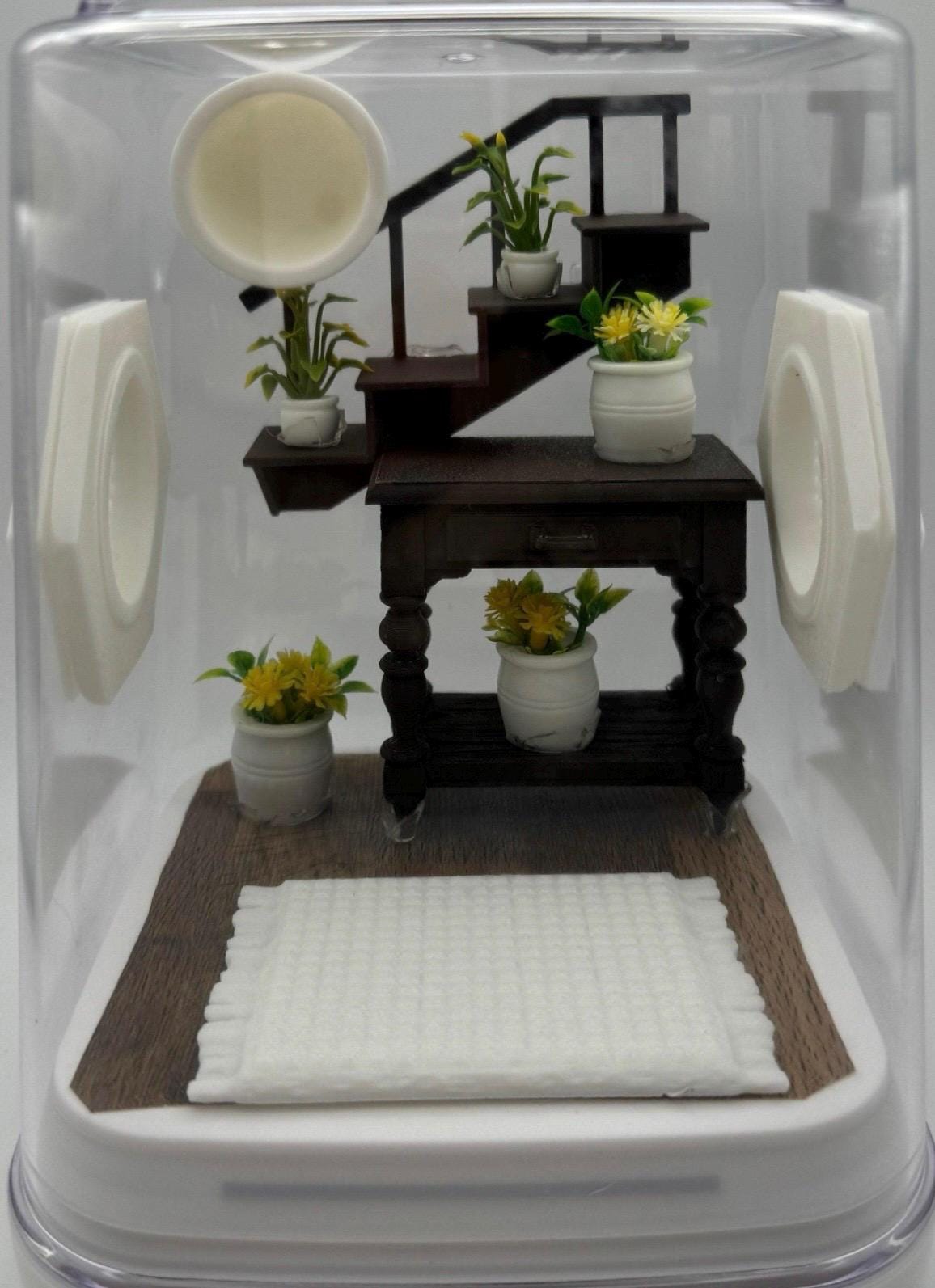 Jumping Spider Enclosure, Unique Staircase Habitat, Modern Pet Home