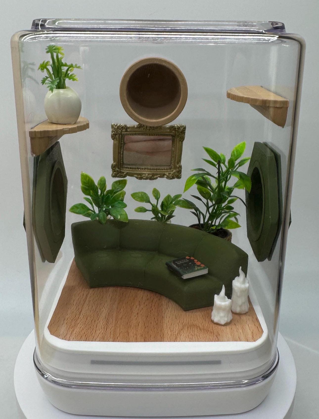 The Comfy Couch jumping spider enclosure