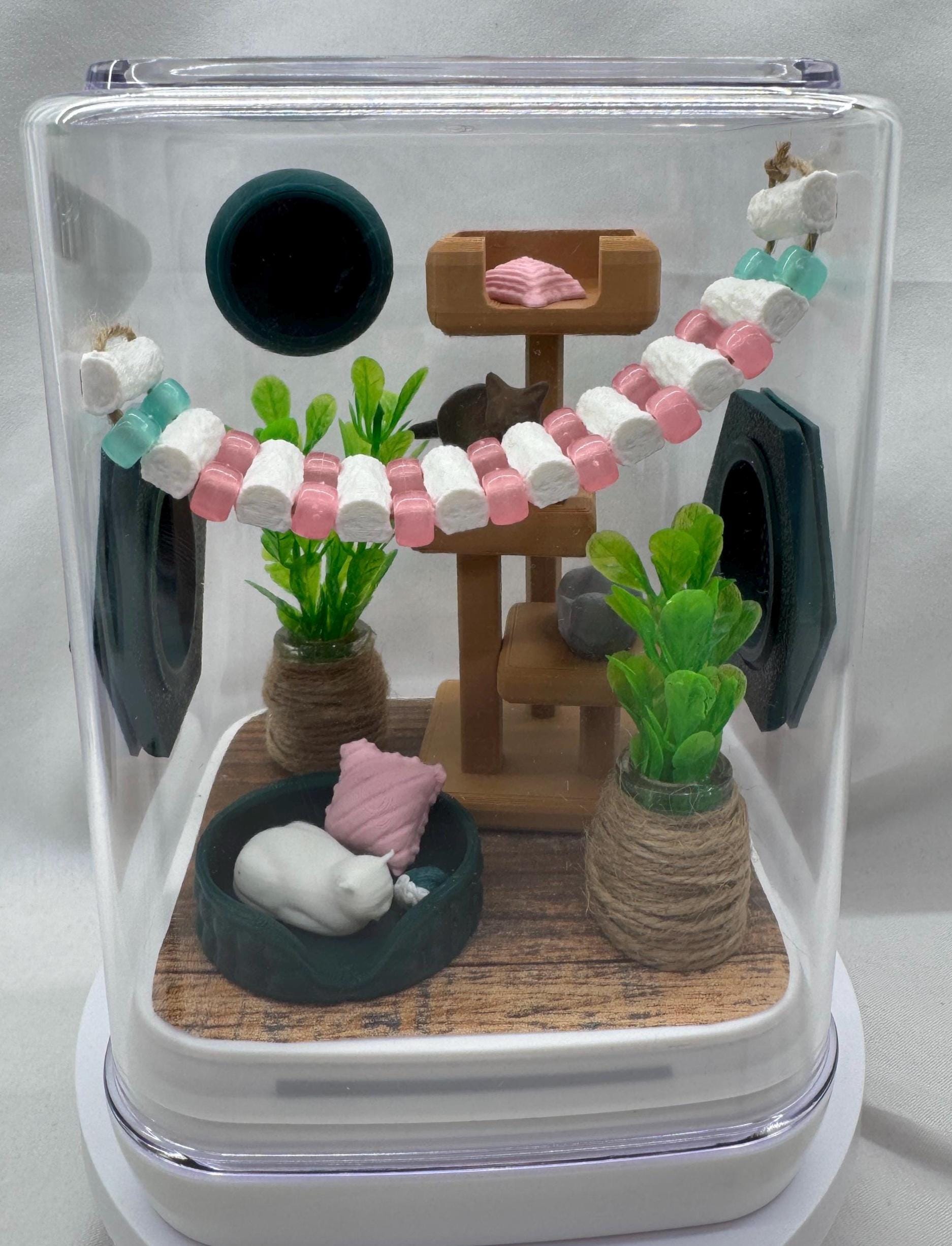 Cat-Themed Enclosure for Arachnid Pets - Safe, Custom Terrarium & Home - Decor-Adorable Jumping Spider Habitat