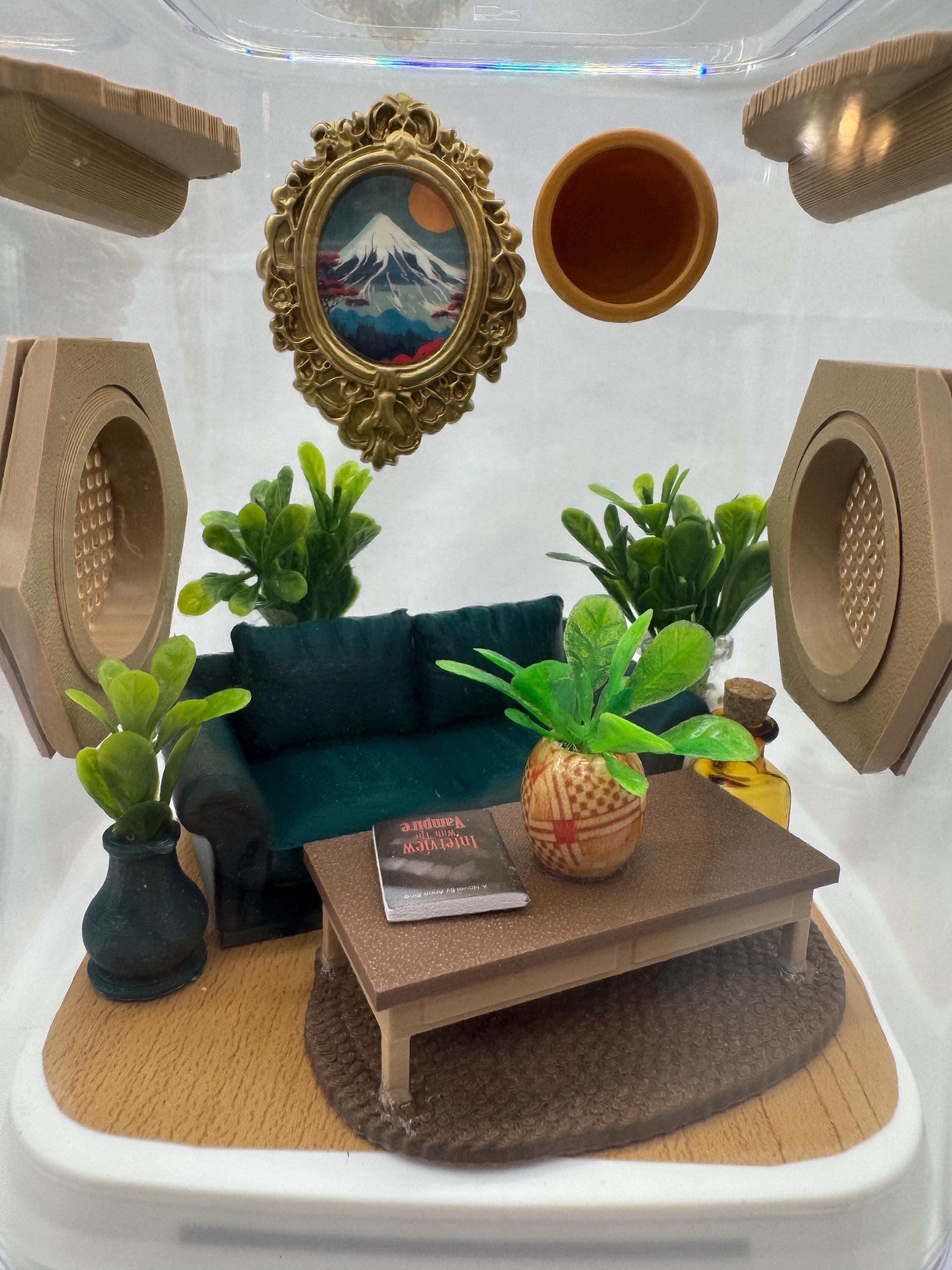 Decorated Jumping Spider Enclosure: Acrylic Living Room Terrarium (5x5x7 inches)