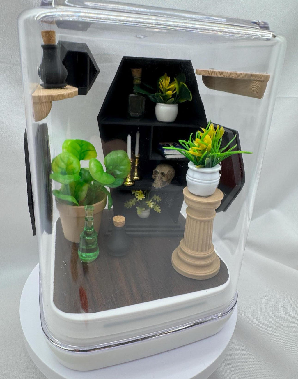 Coffin Cove jumping spider enclosure, terrarium, acrylic, home